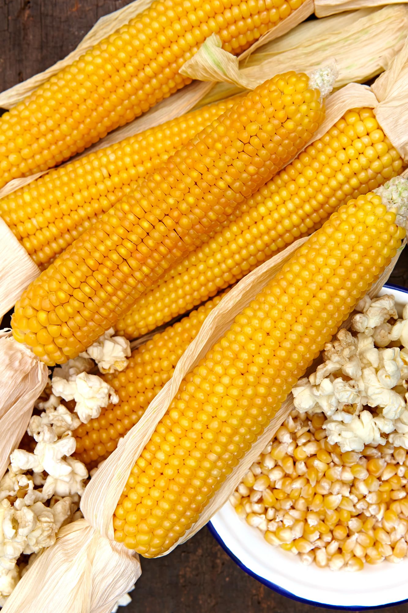 Maissamen - Mais (Popcornmais) Nana von Sperli-Samen : Amazon.de: Garten