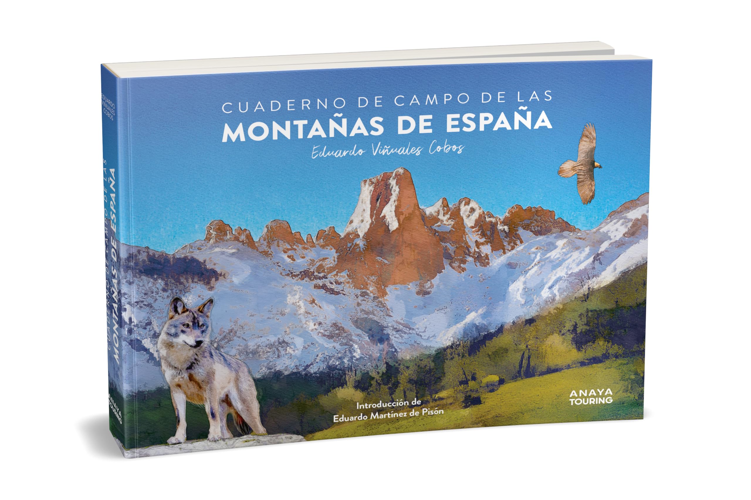 Cuaderno de campo de las montañas de España (Guías Singulares)