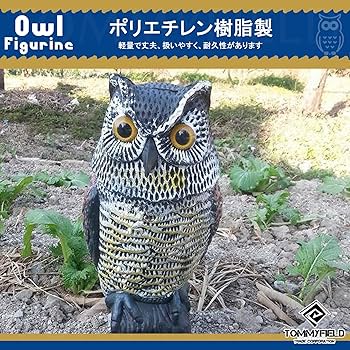 Amazon.co.jp: TOMMYFIELD フクロウ ゴミ置き場 果樹園 ふくろう 360度