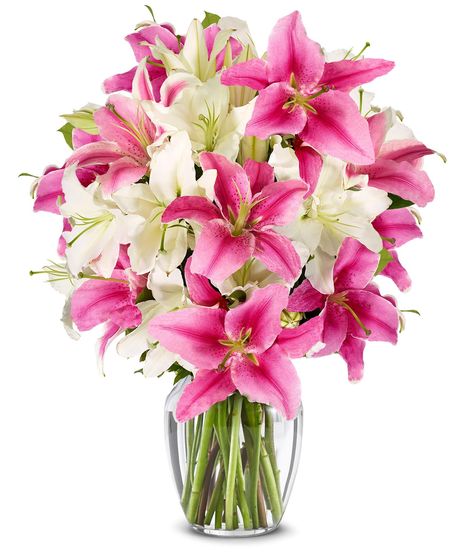 From You Flowers - Stunning Pink and White Lilies - Premium with Glass Vase | Fresh Flower Bouquets for Birthday, Anniversary, Get Well or Celebration