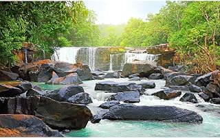 Waterfall Aquarium Background Natural Jungle Forest Landscape Terrarium Background Lush Green Trees Plants Stream Fish Tank Background Falls Forest Rocks Reptile Background Vinyl 24x16in