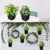 Product Photo 5