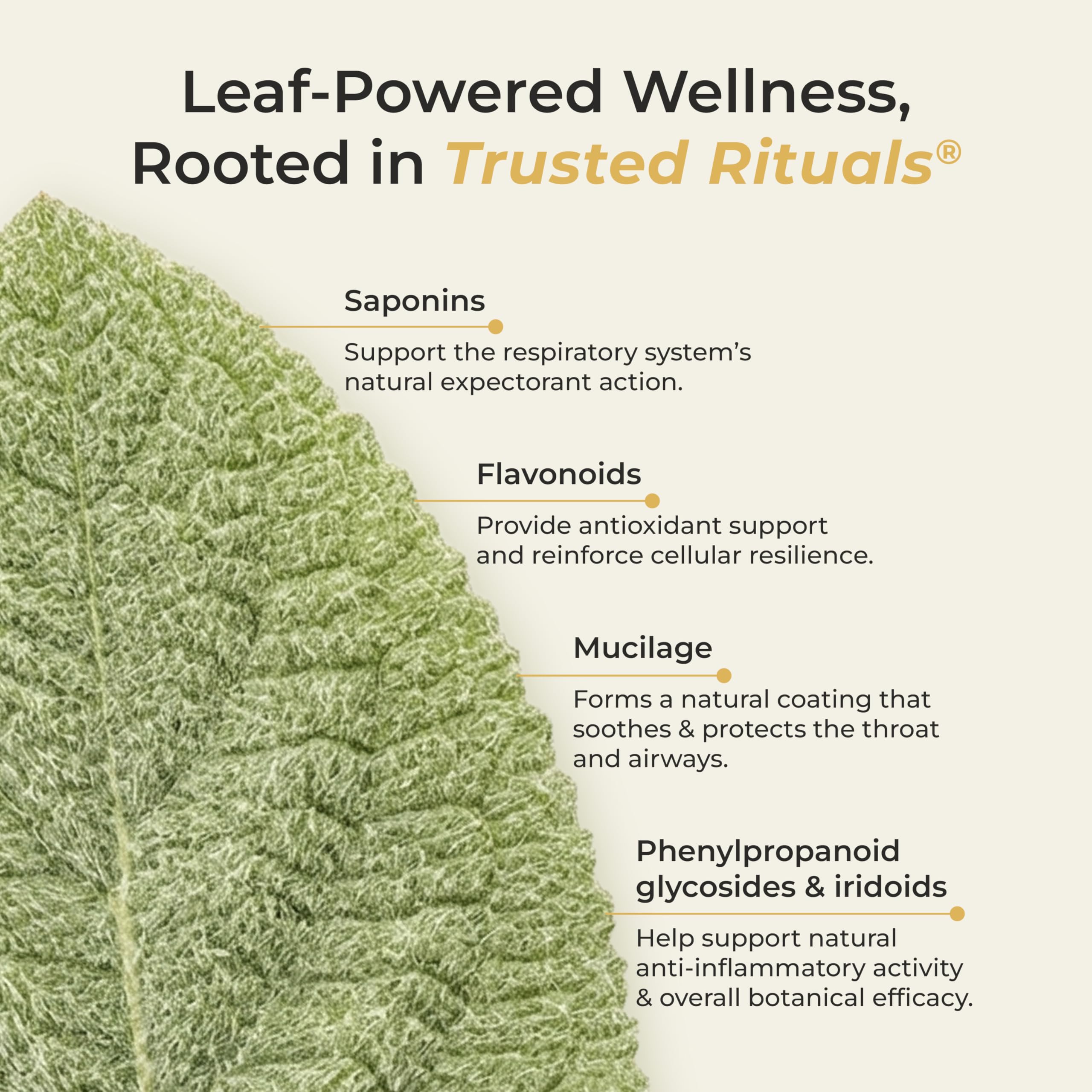 Trusted Rituals Mullein Honey Sticks - 2000mg Mullein per Stick – Lung Detox & Respiratory Health Support – Mullein Leaf Extract Supplement with Raw Honey – Ginger Lemon Flavor – Throat Soothing & Seasonal Comfort – For Smokers and Seasonal Allergy Support - 30 Sticks — Amazon image 7