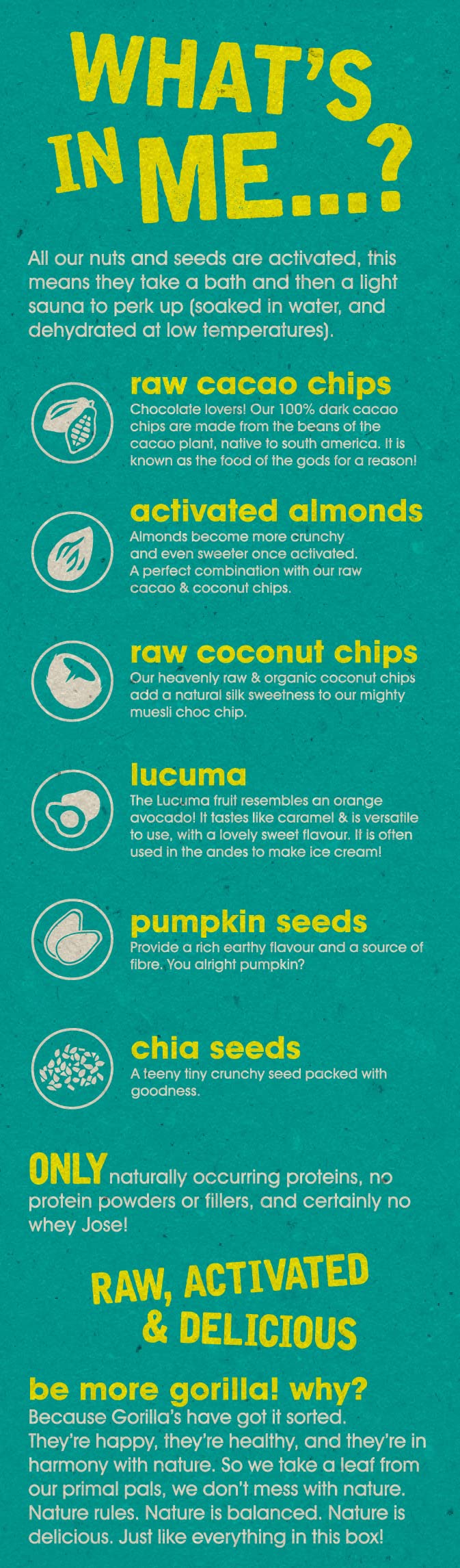 Raw Gorilla Muesli Keto Con Cacao Chips, 250 Gramo