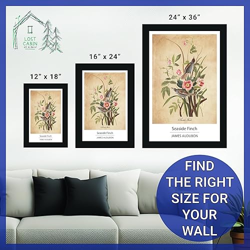 Vista 403 de Towee Bunting by James Audubon - Marco biselado negro de 12 x 16 pulgadas, decoración artística enmarcada para pared, reproducción de pinturas