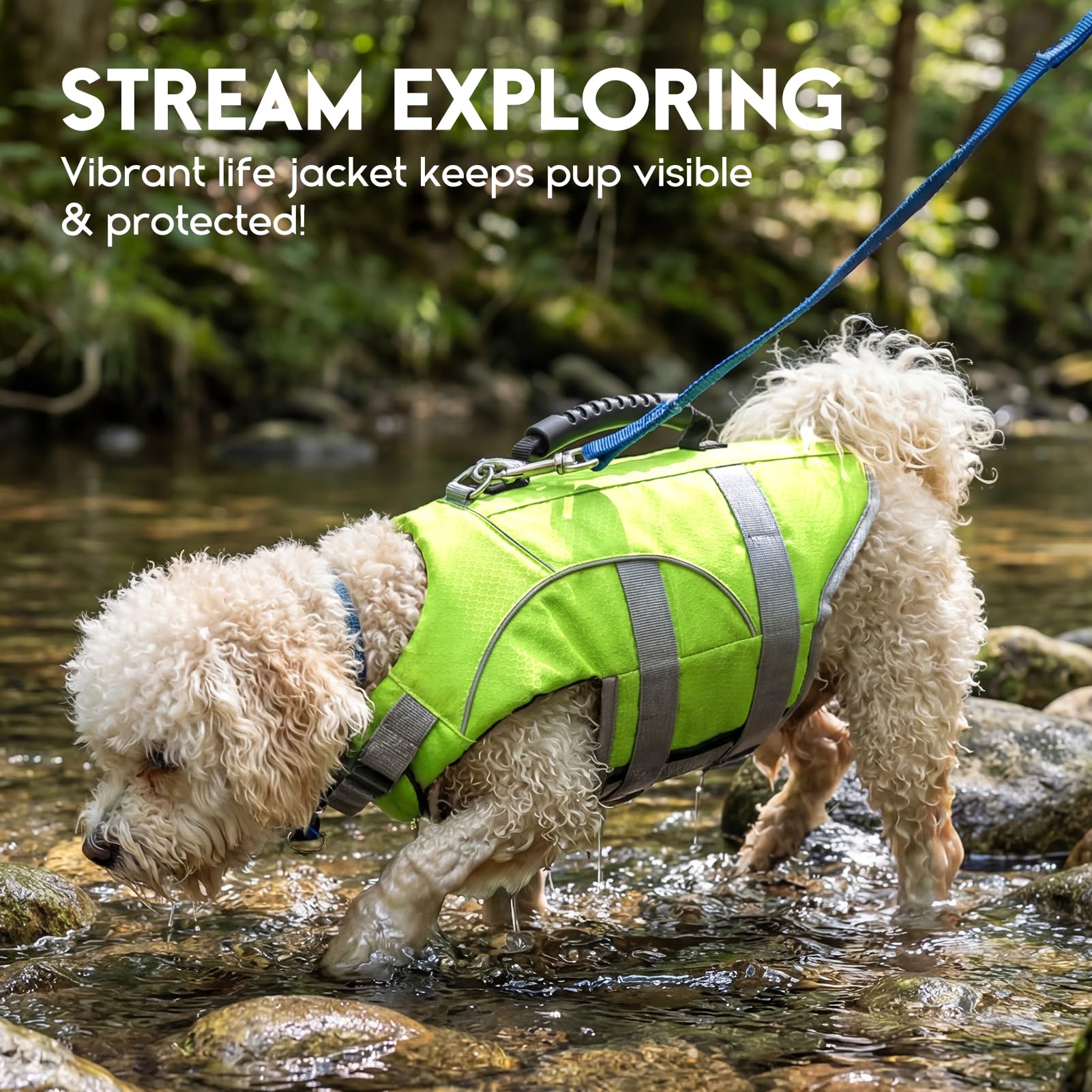 ASENKU Gilet de Sauvetage pour Chien, Haute Flottabilité Anti-Noyade, Poignée de Relevage, Bandes Réfléchissantes, Harnais Antidérapant pour Nage, Plage, Piscine, Bateau