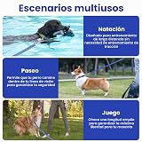 Ver la foto 6