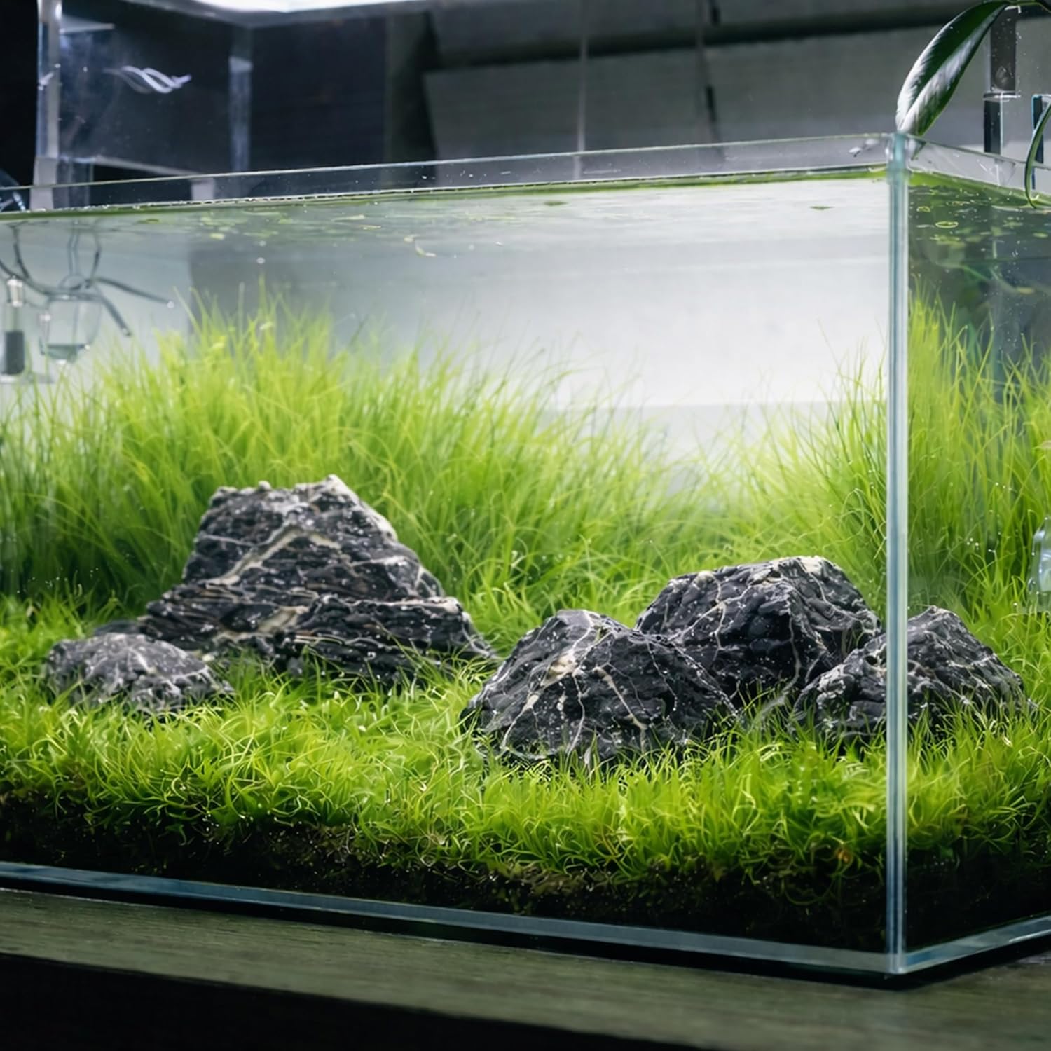 2.2-8.1 Inches Natural Seiryu Stone, 5 PCS Mixed Sizes Aquarium Rocks for Aquascaping, Iwagumi Layouts, Terrariums & Aquarium Décor