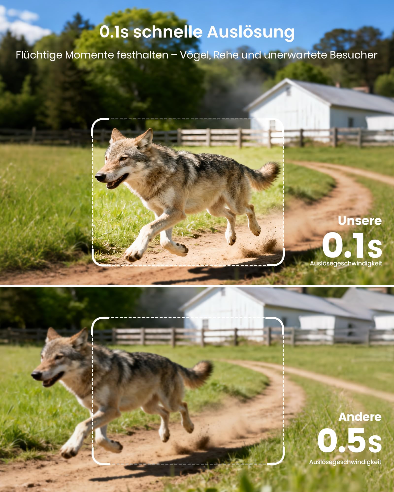Misstech 4K 64MP UHD Solar Wildkamera mit Handyübertragung App, Klare Nachtsicht, 0,1s Bewegungsmelder, IP66