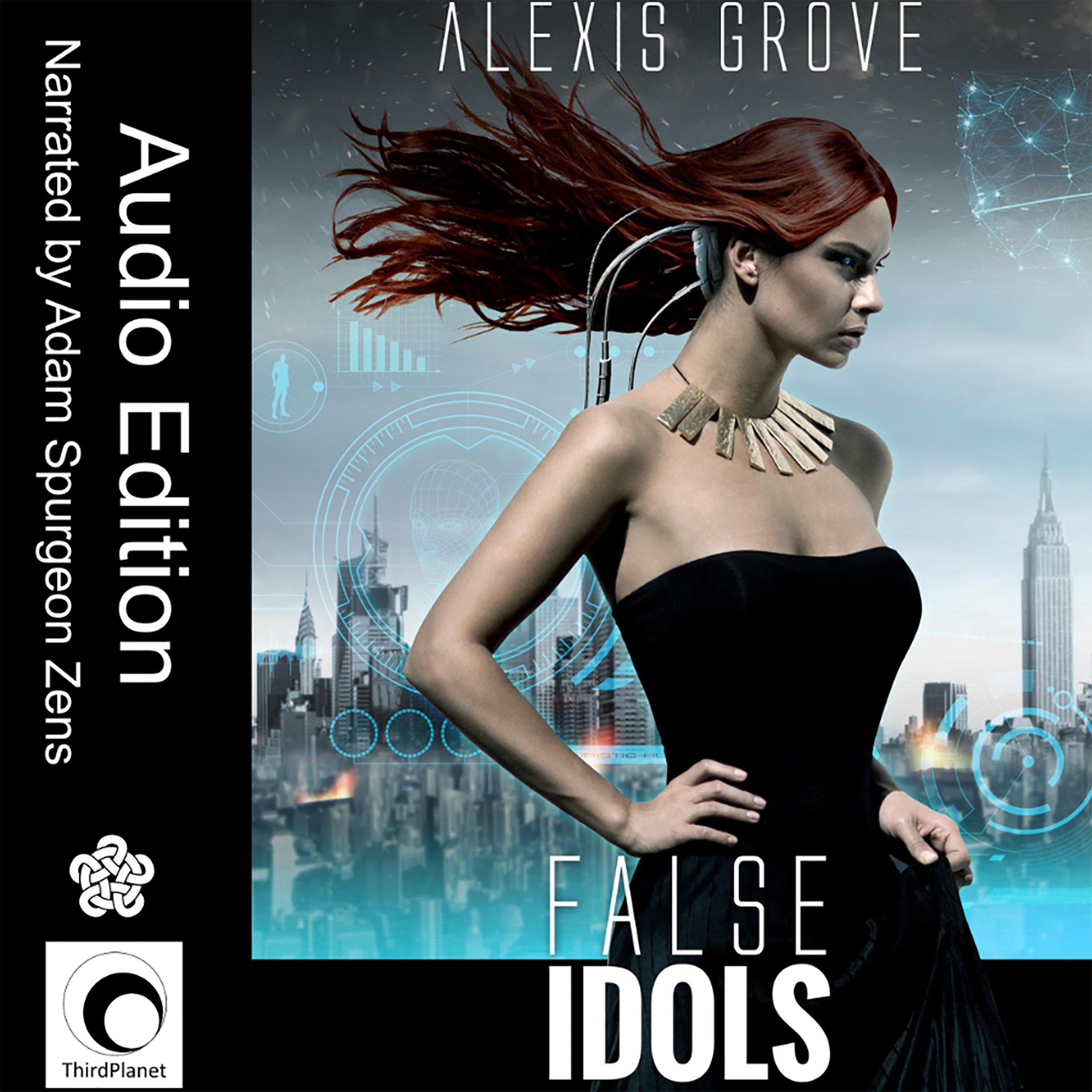 Cover art for False Idols