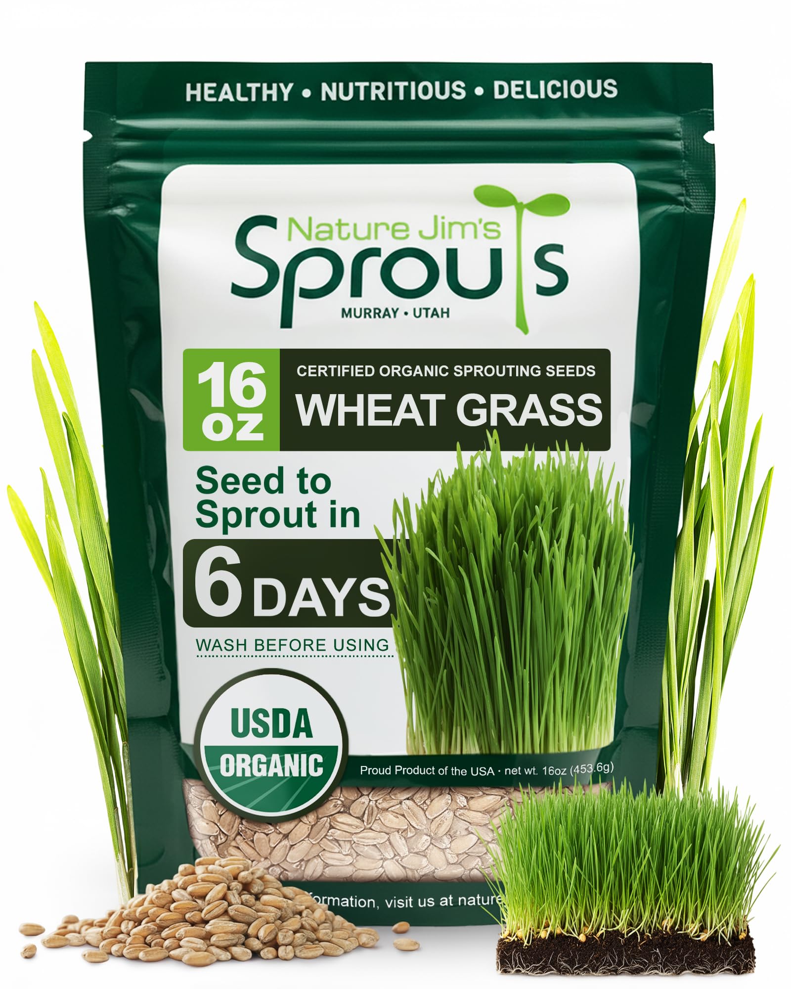 Nature Jims Sprouts Wheatgrass Seeds - 100% Organic Wheat Grass Seed for Sprouting - Cat Grass Planter Seeds, Rich in Vitamins, Fiber and Minerals - Non-GMO, Healthy Wheatgrass Sprout Growing Seed