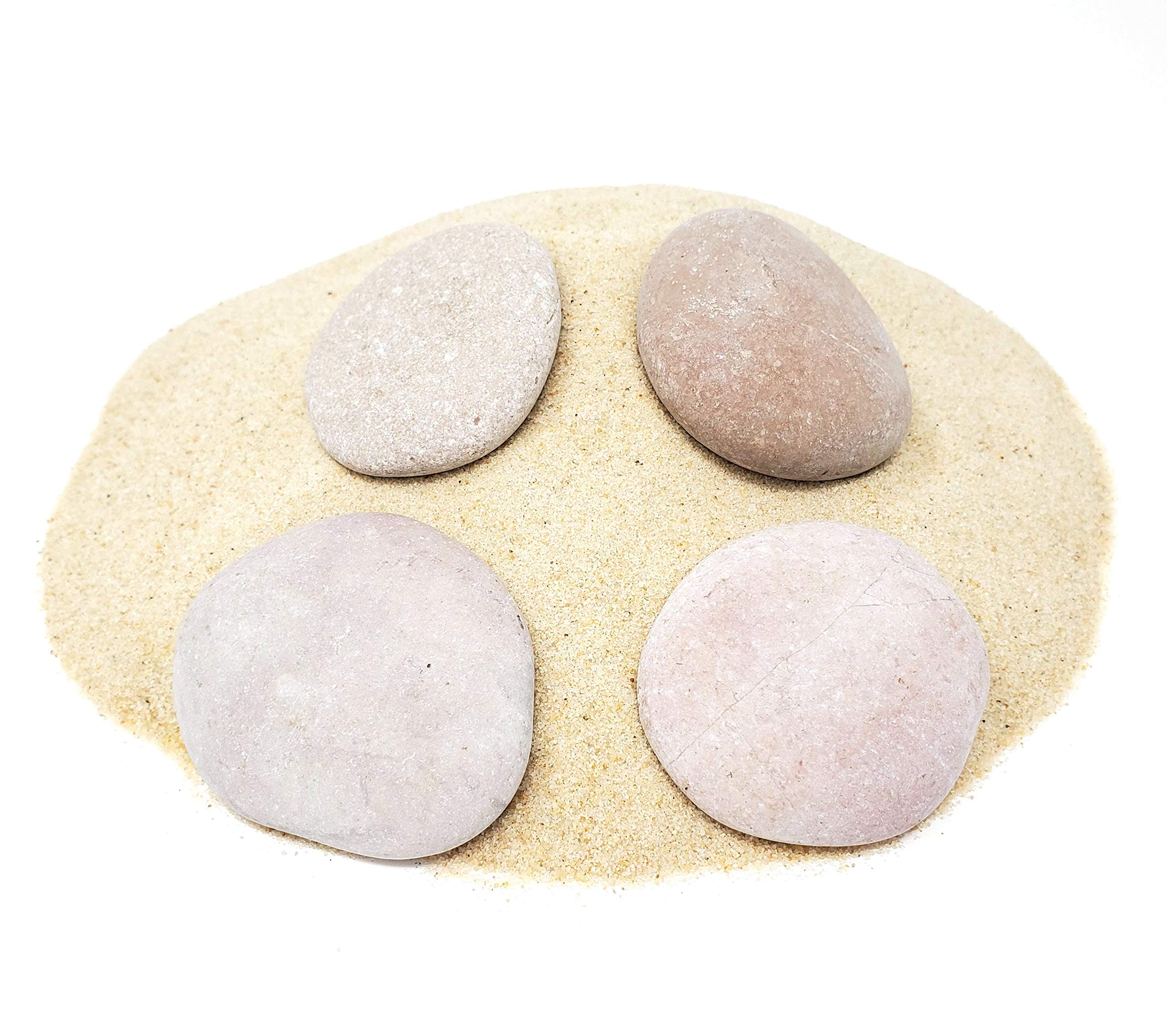 Natural Vase Fillers Decor For You