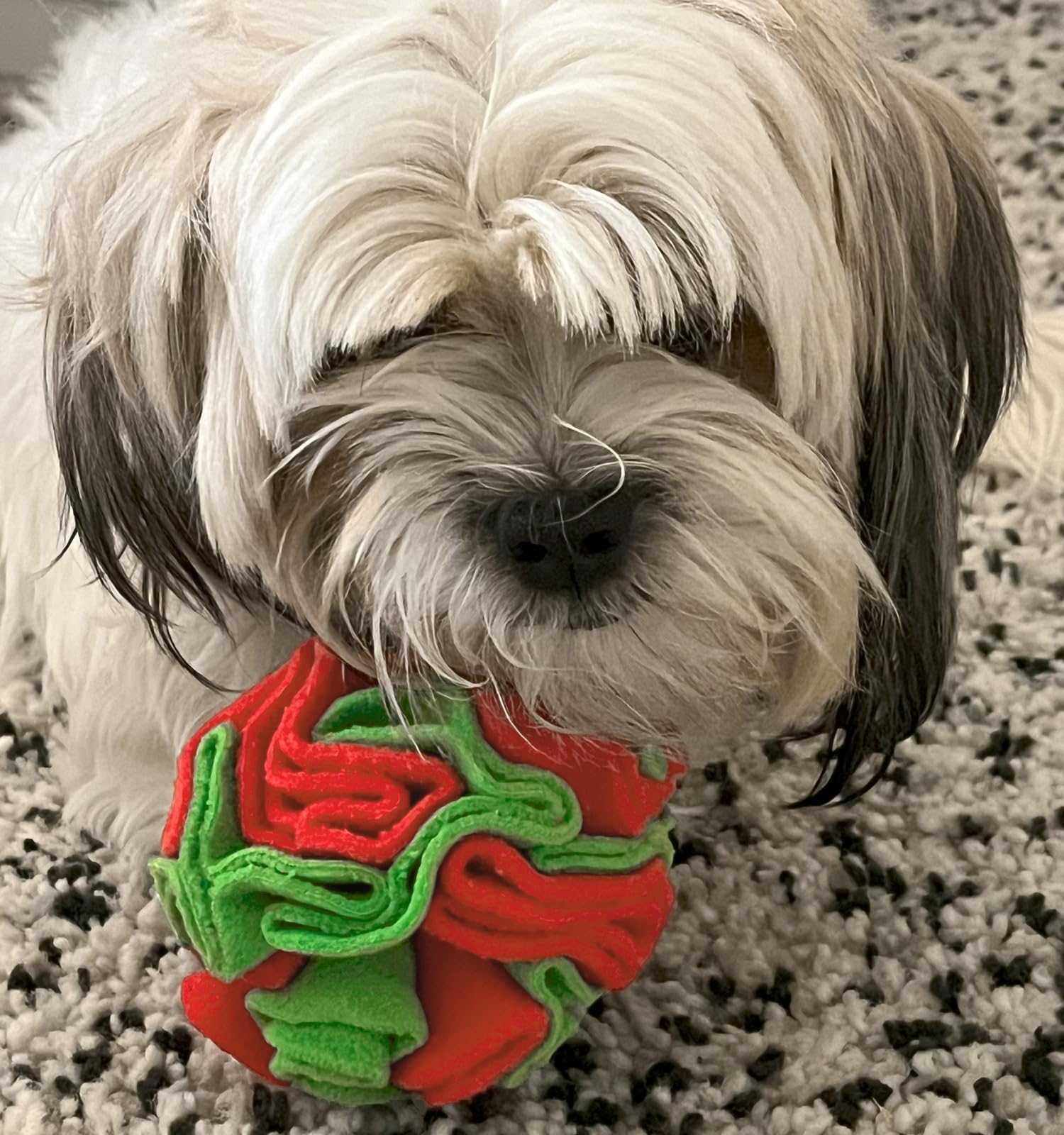 Glory To Dog Snuffle Hundespielzeug für Welpen und mittelgroße Rassen, interaktives Puzzle, Spielzeug, Weihnachten, Grün und Rot, Größe L
