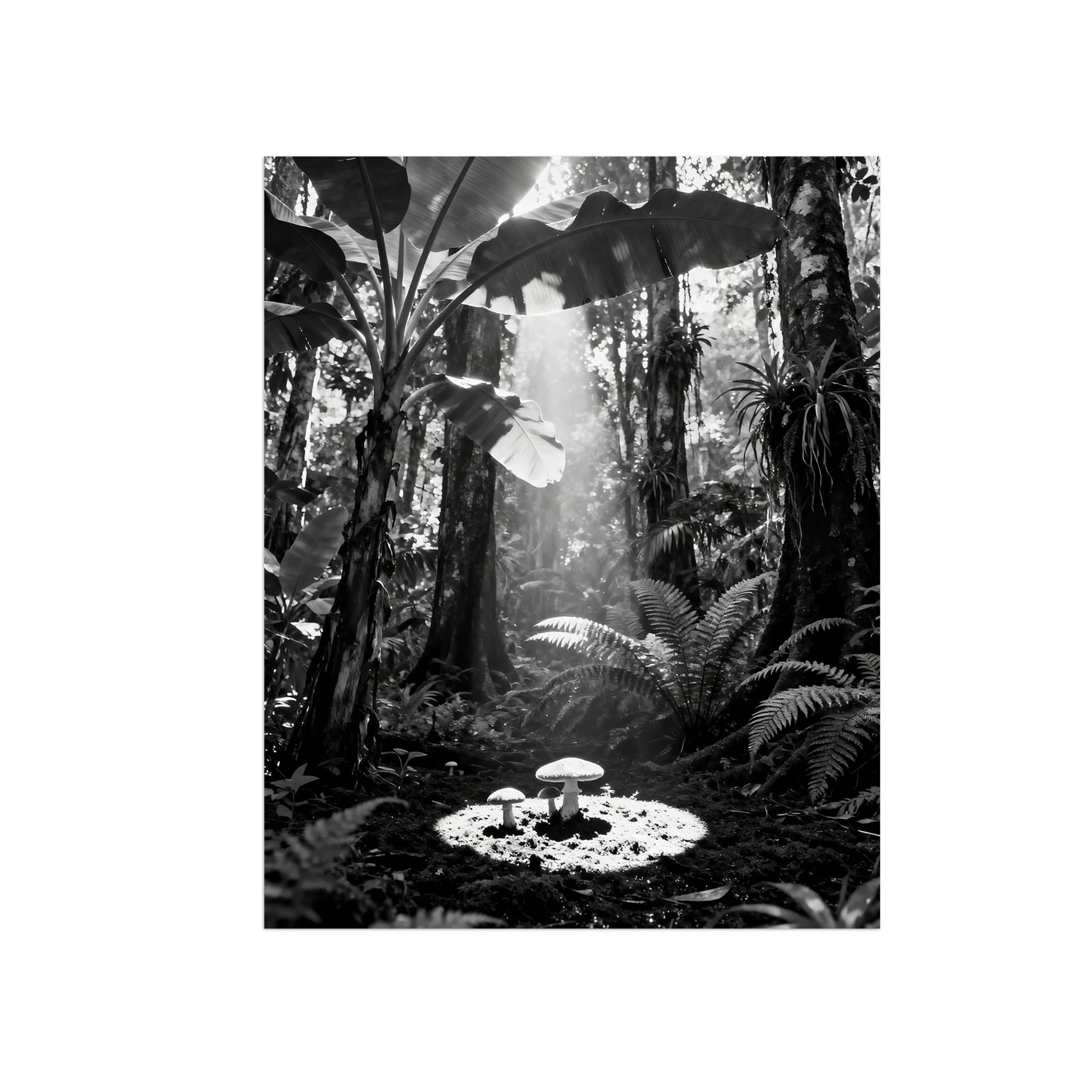 OZPWBVY Black White Landscape Wall Art. Rainforest. Picture 90x117cm Framed