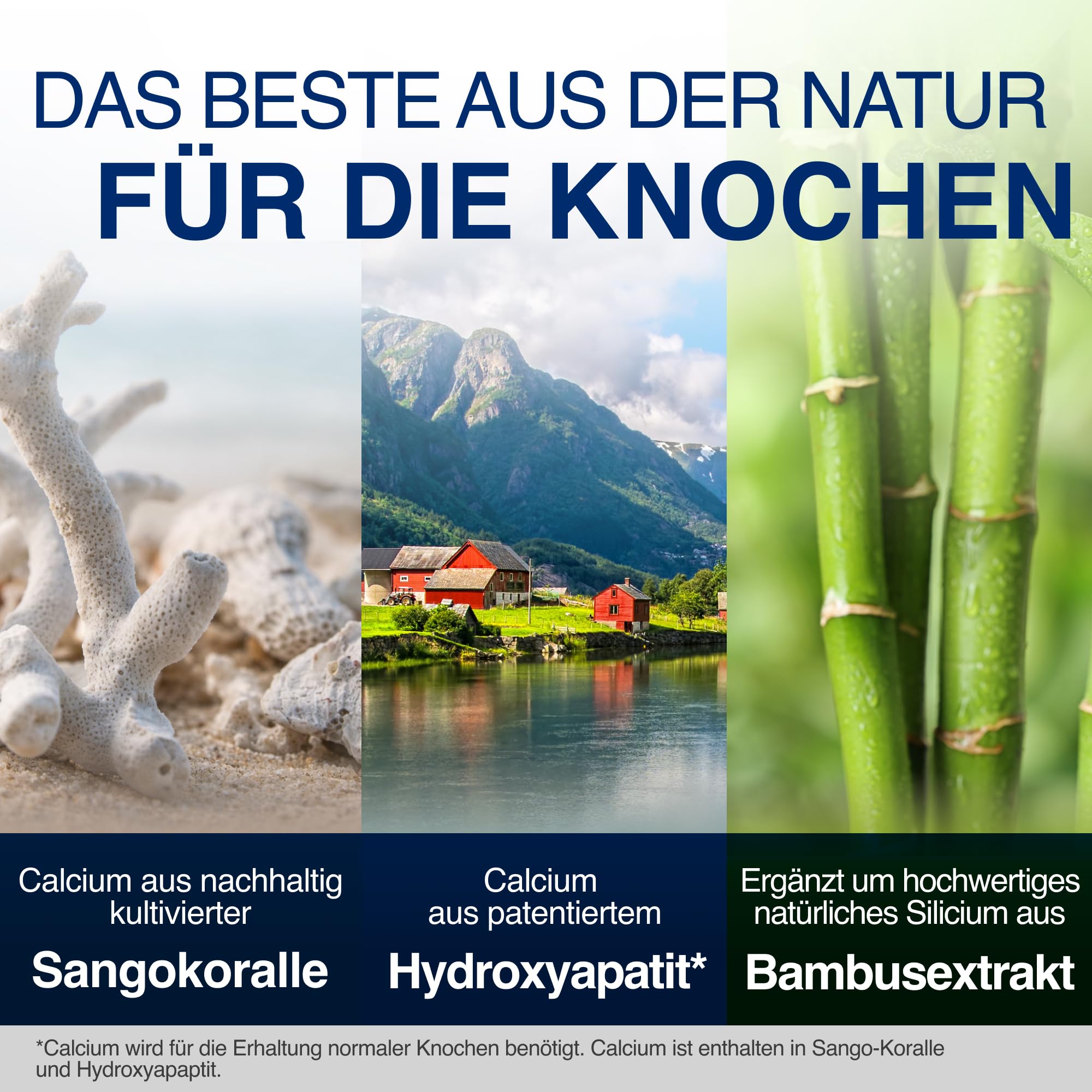 Gelencium Osteo Complex – 800 mg Calcium aus 3 Quellen – 30 Sticks | CalGo Hydroxyapatit, Sango-Koralle & Calciumcitrat · Mit Vitamin D3, K2 & Mangan für normale Knochen