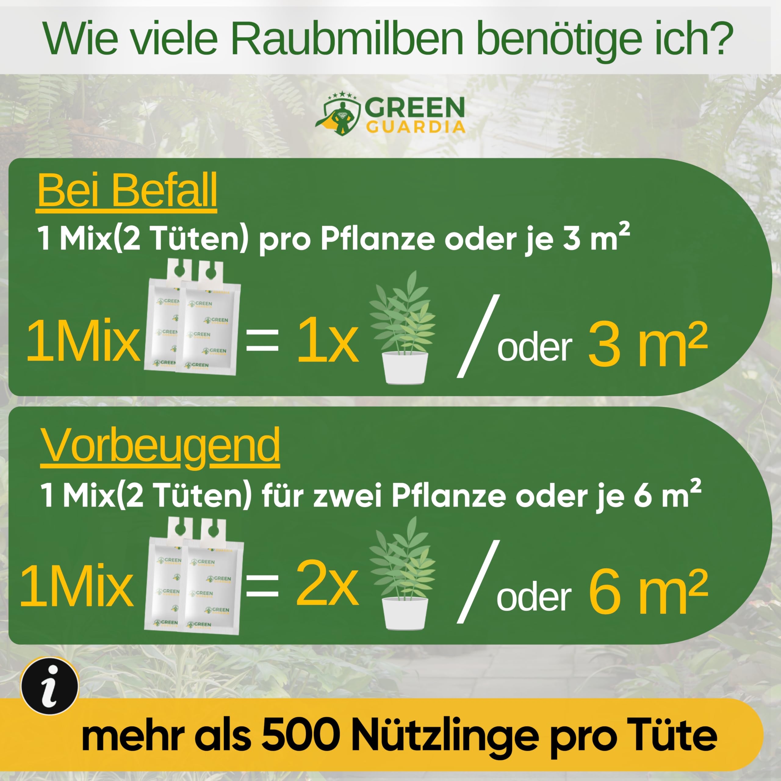 GREEN GUARDIA Power mieszanka drapieżnych roztoczy przeciwko wciornastkom i przędziorkoworkom – 10 mieszanek z 20 torebkami – biologiczny środek do skutecznego zwalczania wciornastków – przyjazny dla