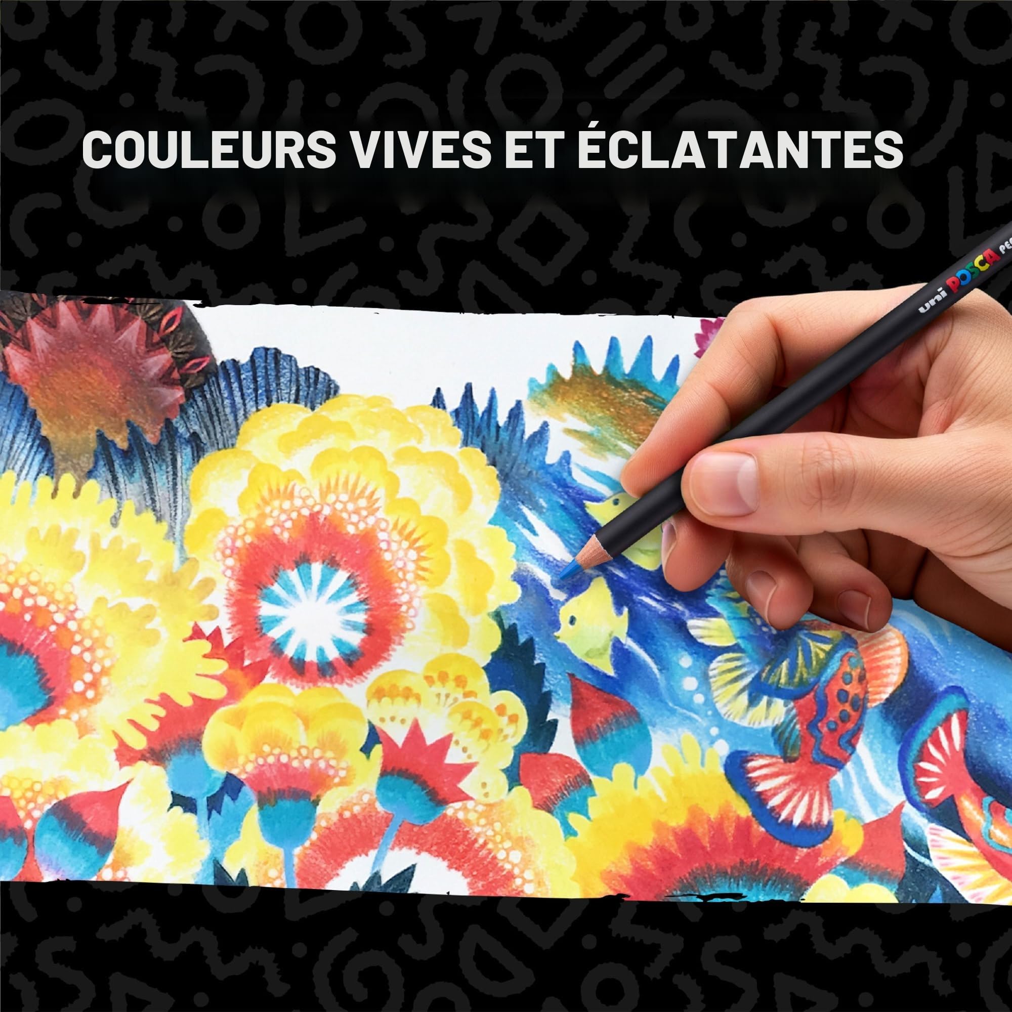 POSCA PENCIL, Bento 36 Crayons de couleur base huile et cire - Multisupport | Uni Mitsubishi Pencil - Crayons Haute Intensité Chromatique, Rendu Mat, Superposables - Papier, Bois, Verre, Métal et Pierre