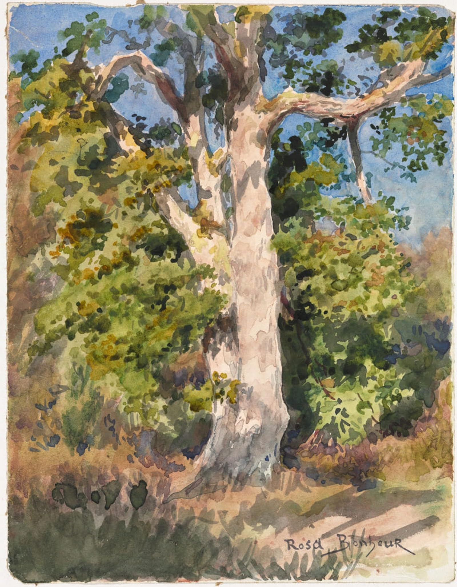 POSTERIIk Famous Print Pop Art Wall Art Graffiti Tree Study by Rosa Bonheur Art Prints for Home Decor 60x90cm