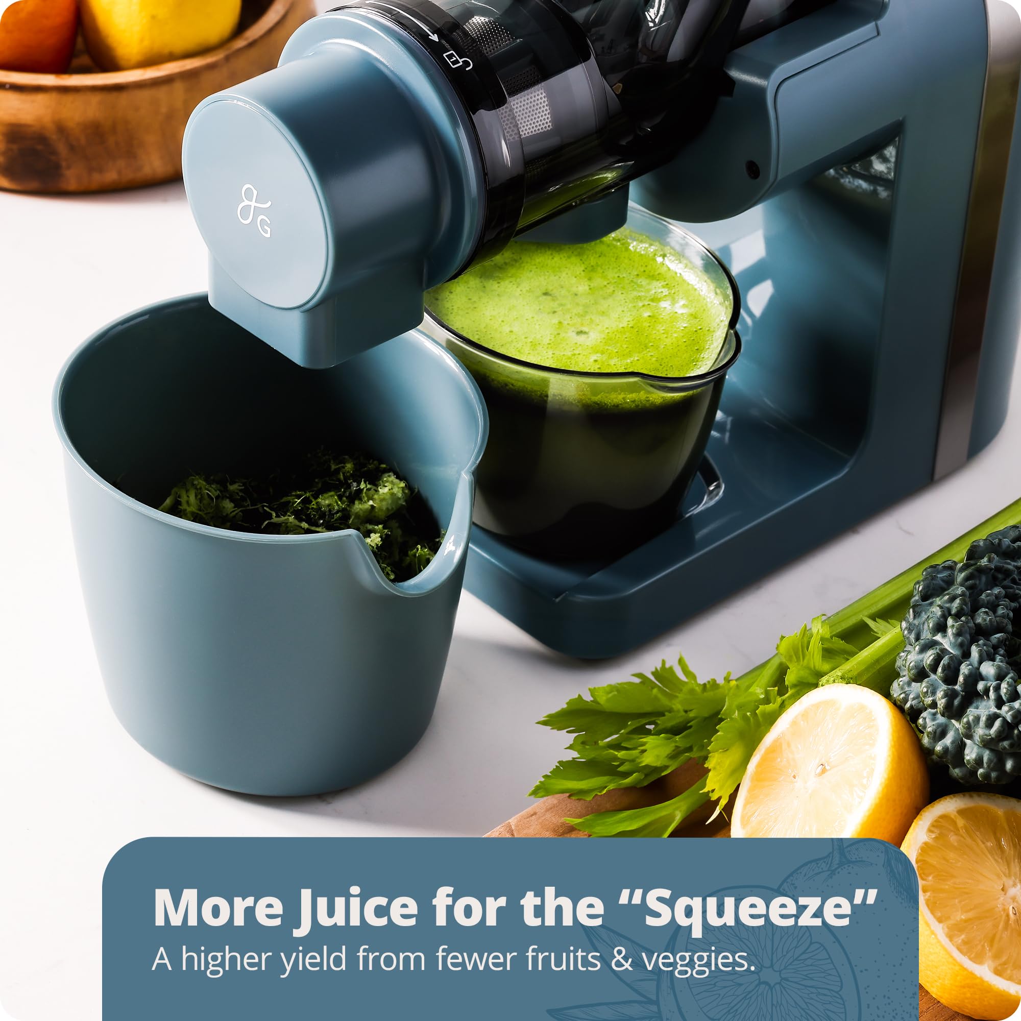 Amazon.com: Greater Goods Cold Press Juicer, Powerful Slow