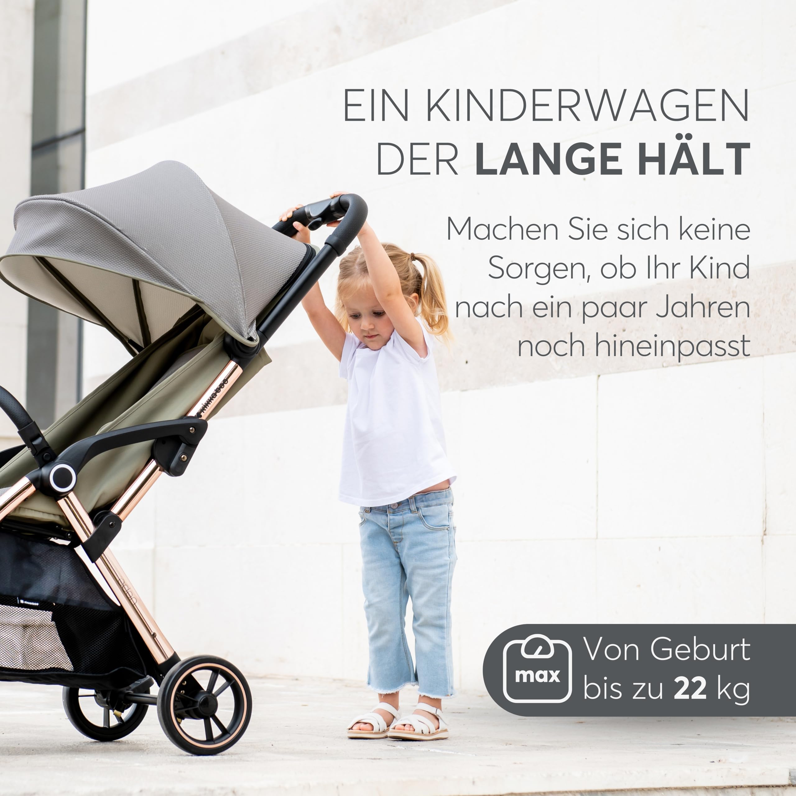 dünger für heidelbeeren selber machen Bio Heidelbeer Dünger flüssig 1 L main image 1