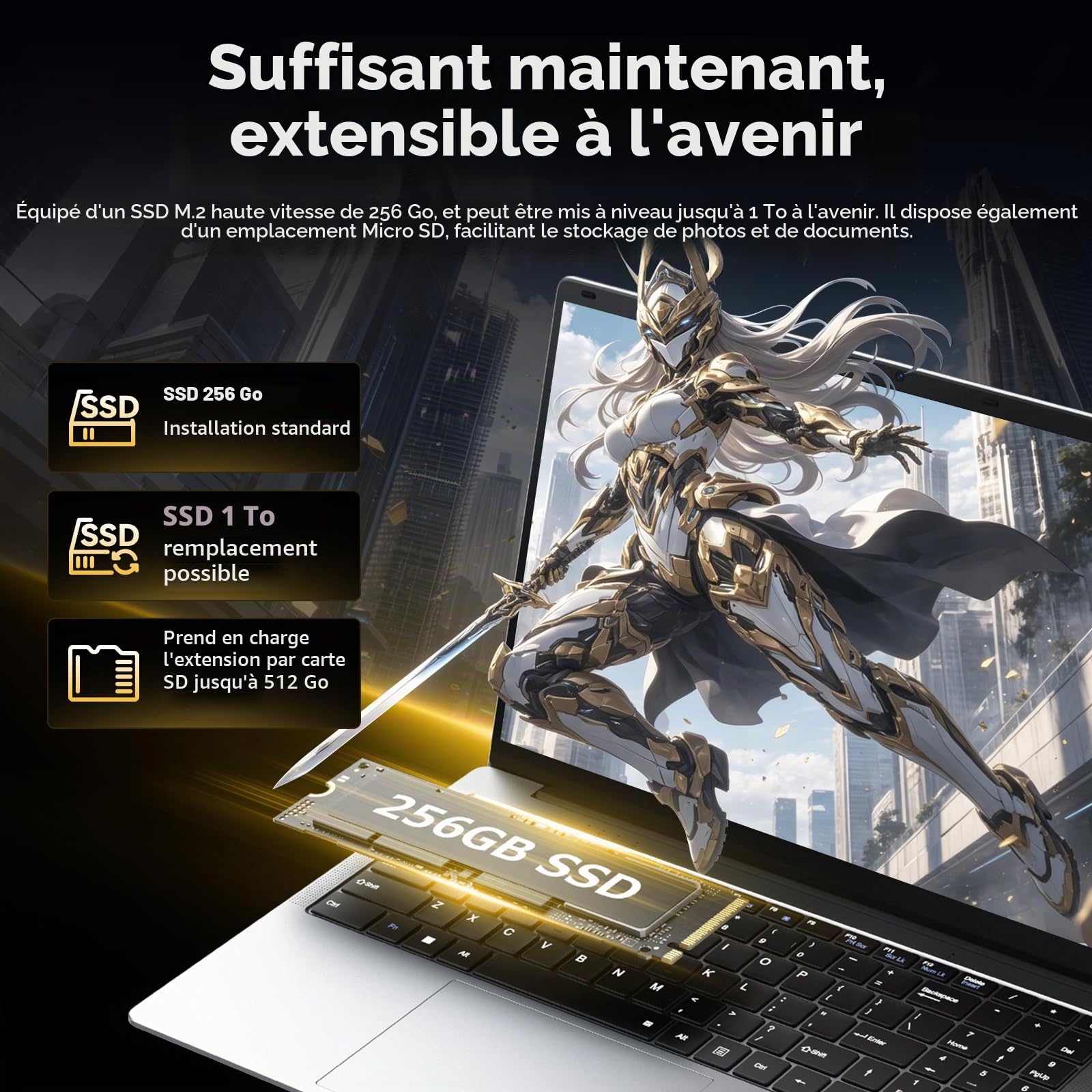 Ordinateur Portable 15,6" avec 12 Go de RAM,SSD 256 Go,écran 100% sRGB,processeur N4000, Wi-FI 5 Double Bande,Bluetooth 4.2, USB-A, HDMI, écran FHD 1920 x 1080 (12, GB)