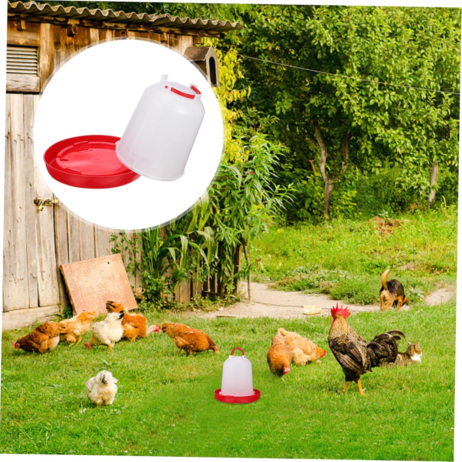 1pc Chicken Drinking Bucket Drinking Bowl Pp Hanging