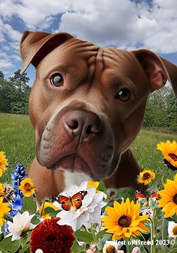 Pit Bull Terrier - Best of Breed Spring Flowers Garden Flag 12" x 17"