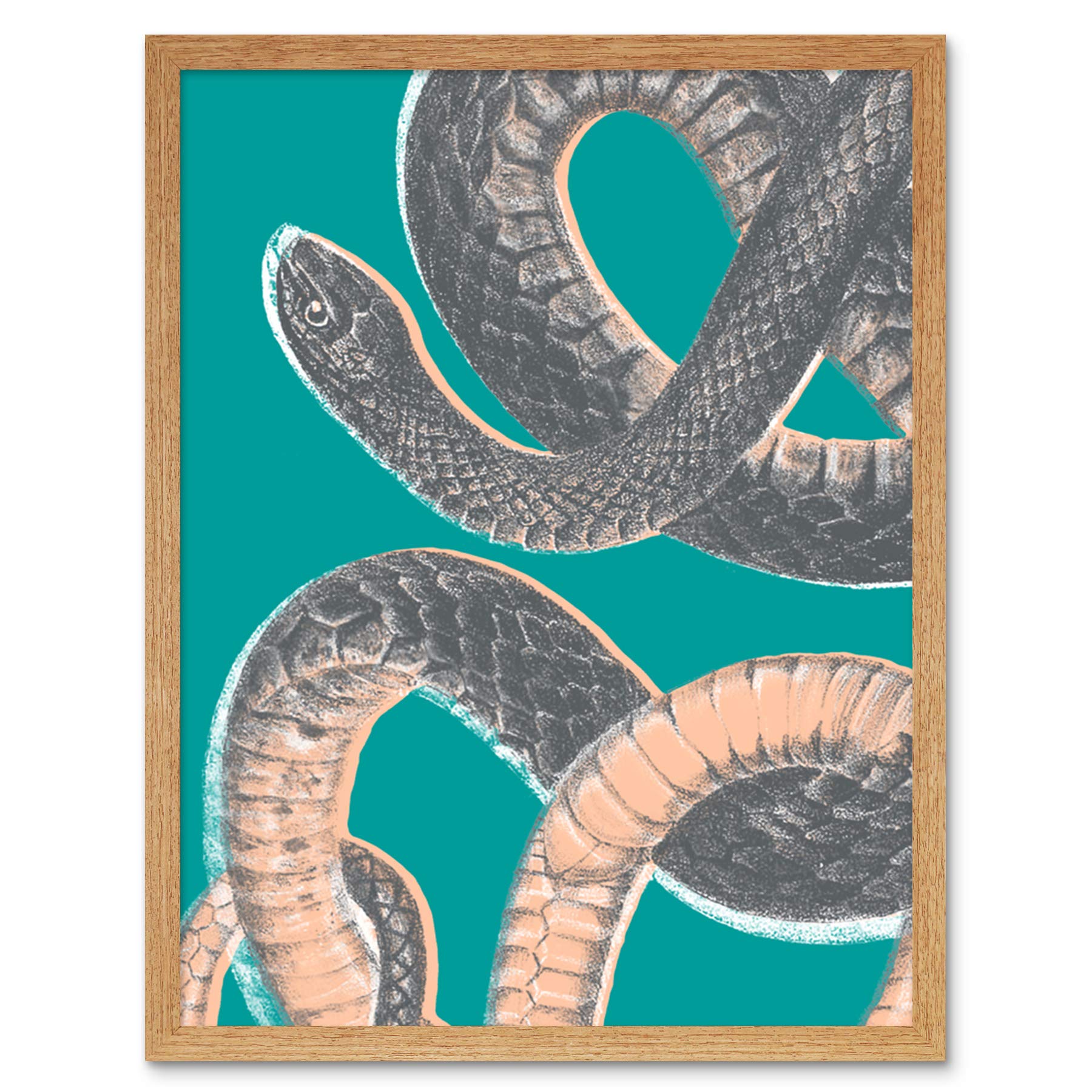 Wee Blue Coo Snake Illustration Modern Biodiversity Art Print Framed Poster Wall Decor 12x16 inch