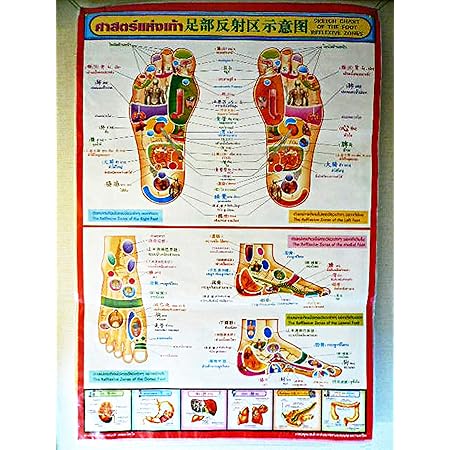 Amazon Co Jp 足つぼマップ マッサージ タイマッサージ タイ古式マッサージ タイトラディショナルマッサージ 並行輸入品 本
