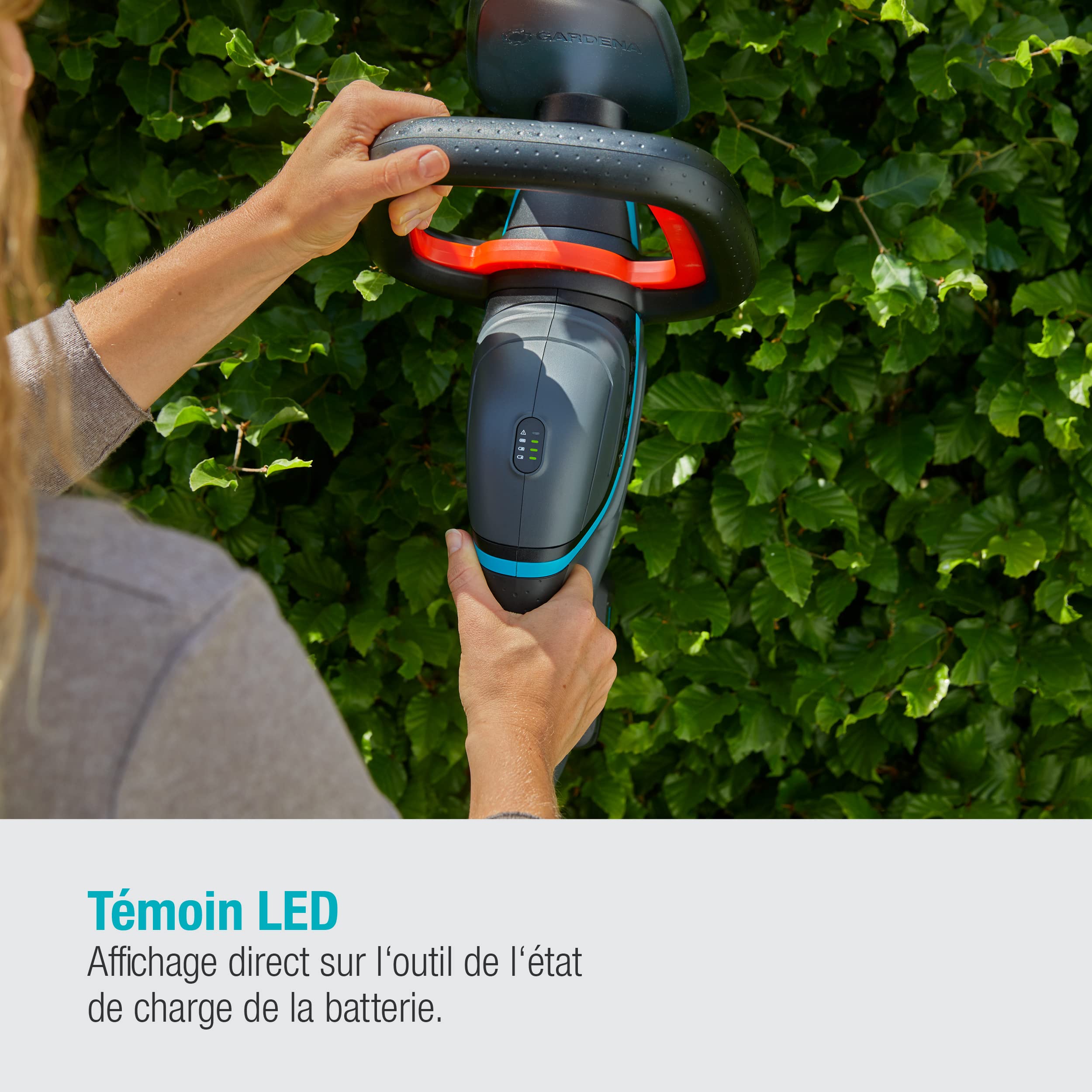 Gardena Taille-Haies sur Batterie ComfortCut 50/18V P4A - Kit prêt à l'emploi: Ergonomique, Géométrie de Lame optimisée, Léger, Affichage du Niveau de Charge, sans Fil (14730-20)