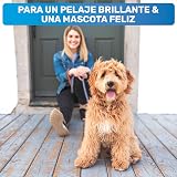 Ver la foto 6