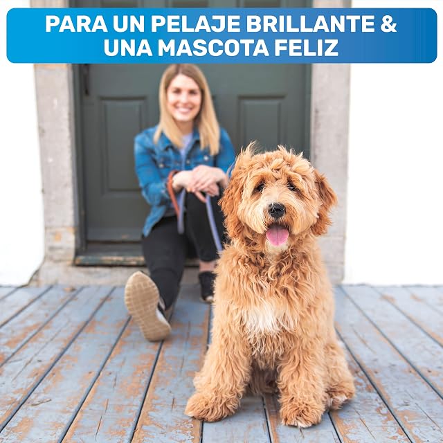 Foto 6 de 8 de BluePet Peine para Perros y Gatos + Champú para Perros, Cepillo Pelo Largo