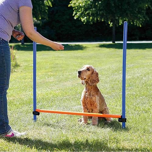 Miniatura 4 de Perro de agilidad obstáculo, entrenamiento de agilidad portátil para perros, puente ajustable, herramienta de ejercicio, azul/amarillo, 38.2 in x