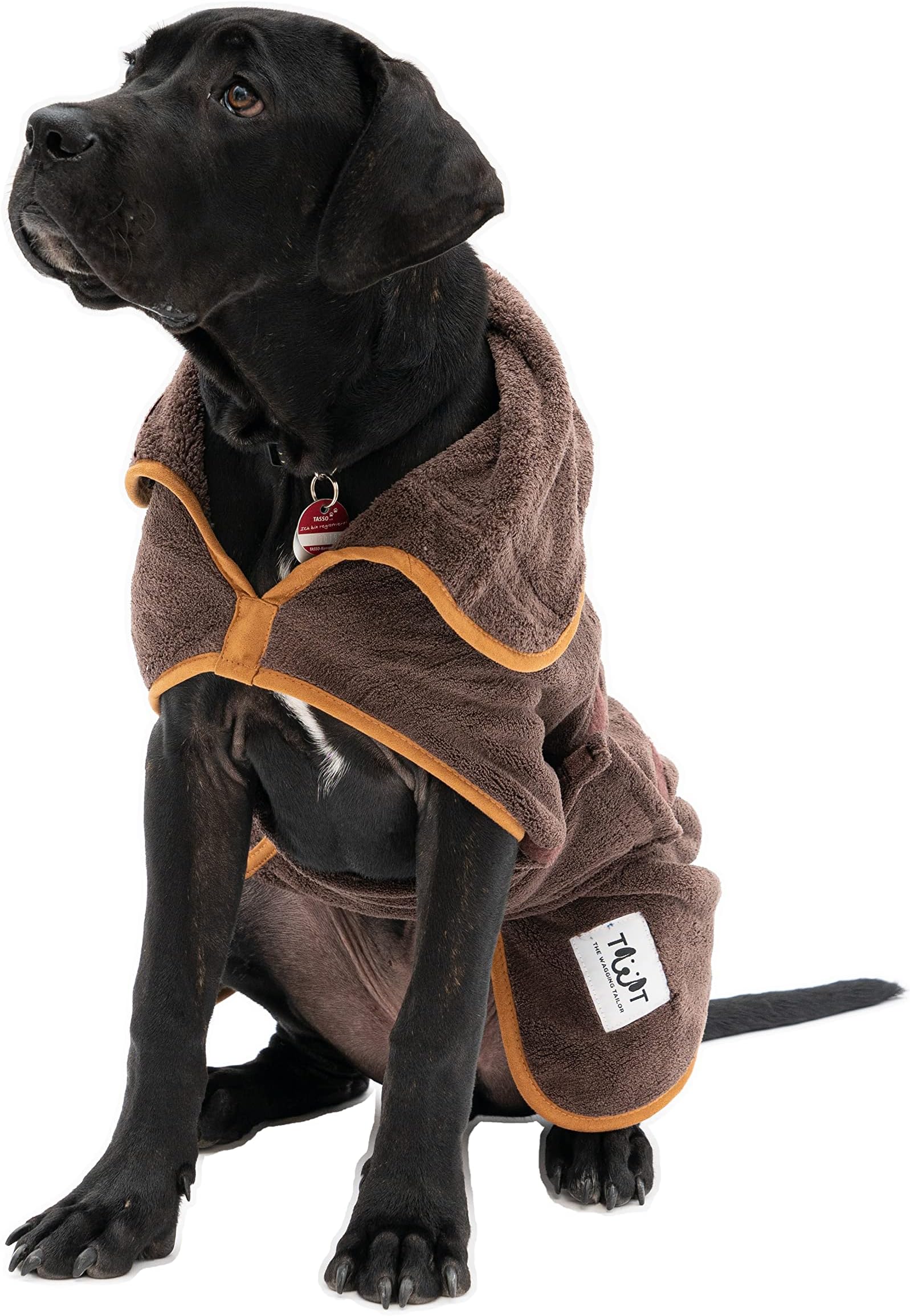 Dog Drying Coat for Large Dogs by The Wagging Tailor® - Soft Feel ...