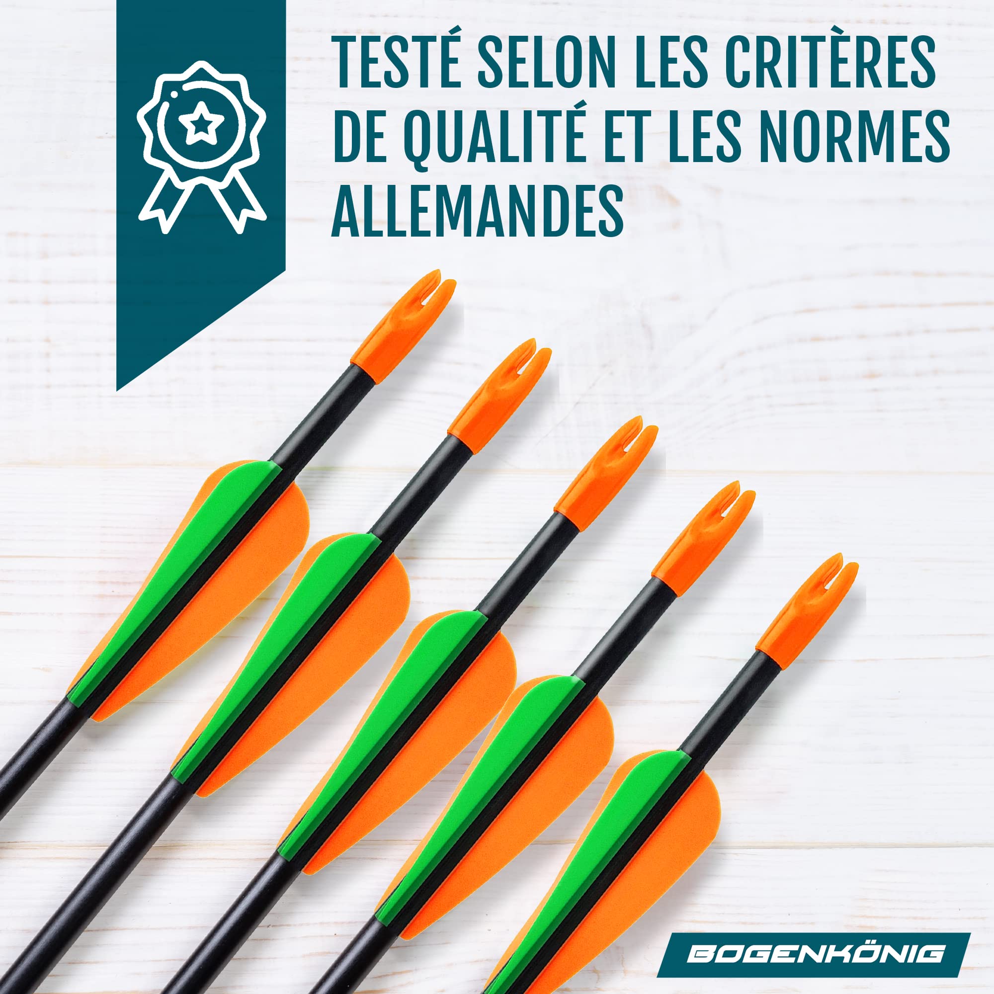 Flèches de Tir à l'arc | Lot de 5 | Flèches d'arc en Fibre de Verre avec Pointe en Métal pour Débutants et Avancés | 28 Pouces