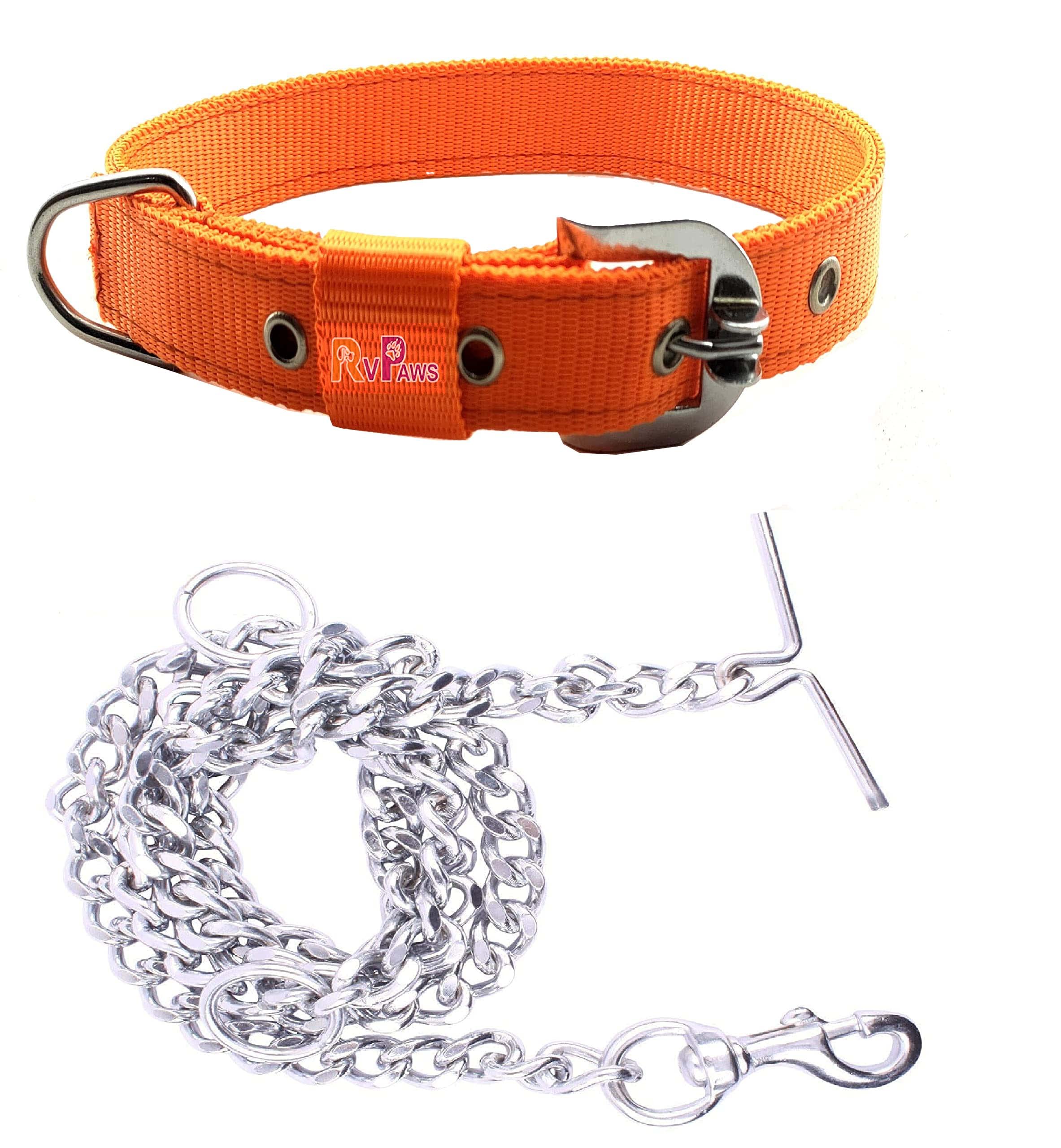 RvPaws Dog Leash Chain Combo of 1 Inch Nylon Belt with Heavy Dog Chain 63 Inch Lengthy Dog Belt Chain (Large Size) - Orange (B0BV7FG4RR) Amazon Price History, Amazon Price Tracker