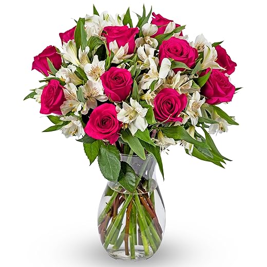 Benchmark Bouquets Signature Roses and Alstroemeria, Next Day Prime Delivery, Farm Direct Fresh Cut Flowers, Gift for Anniversary, Birthday, Congratulations, Get Well, Home Décor, Sympathy, Christmas