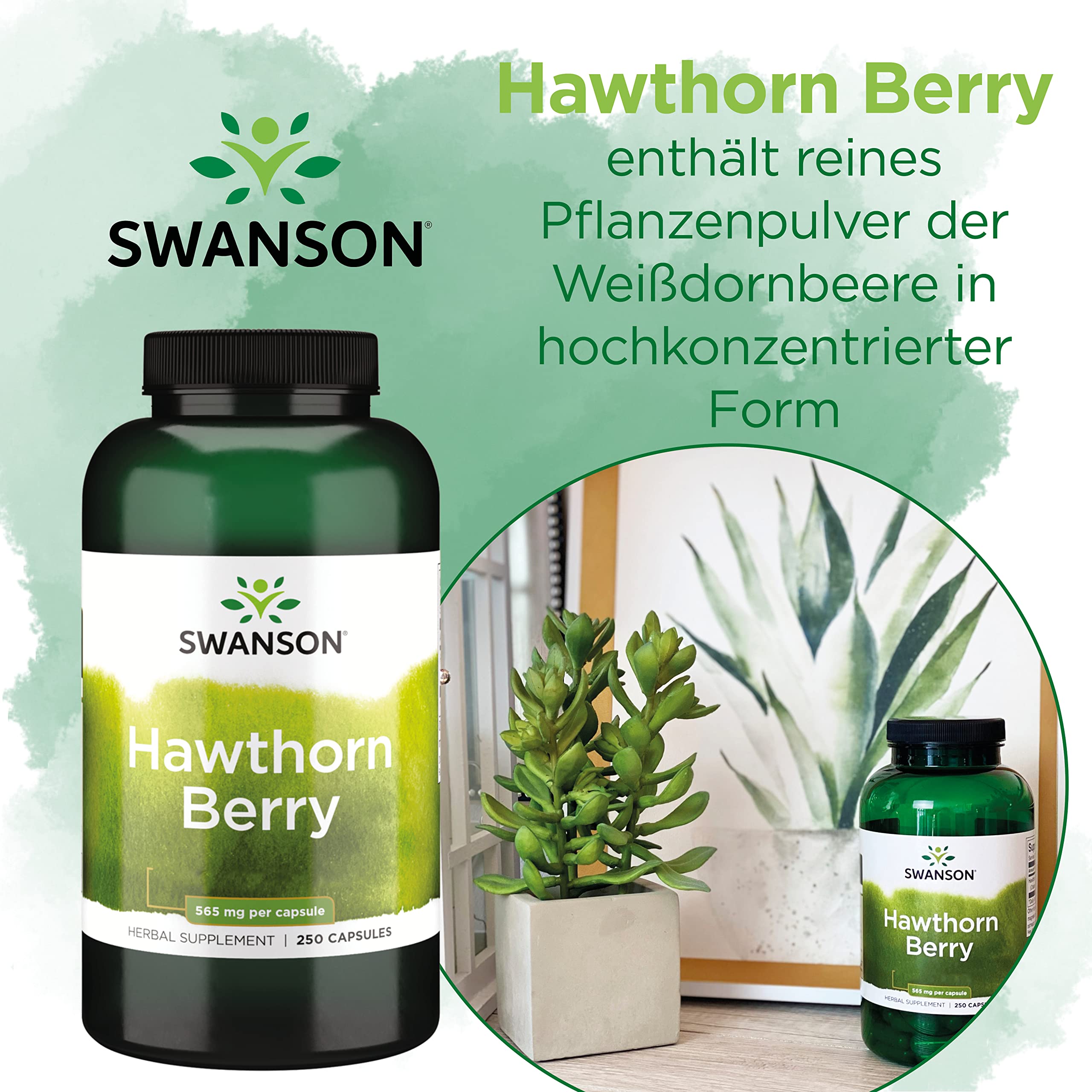 Swanson, Hawthorn Berry, 250 glutenfreie Kapseln, 565mg Weißdornbeeren je Dosis, Sojafrei, GMO frei, Geschmacksneutral
