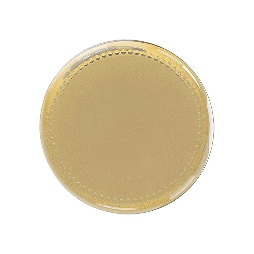 Miniatura 5 de Frontier Co-op Polvo de raíz de jengibre orgánico, botella de 1.31 onzas, polvo dulce picante para alimentos y té, finamente molido, Kosher