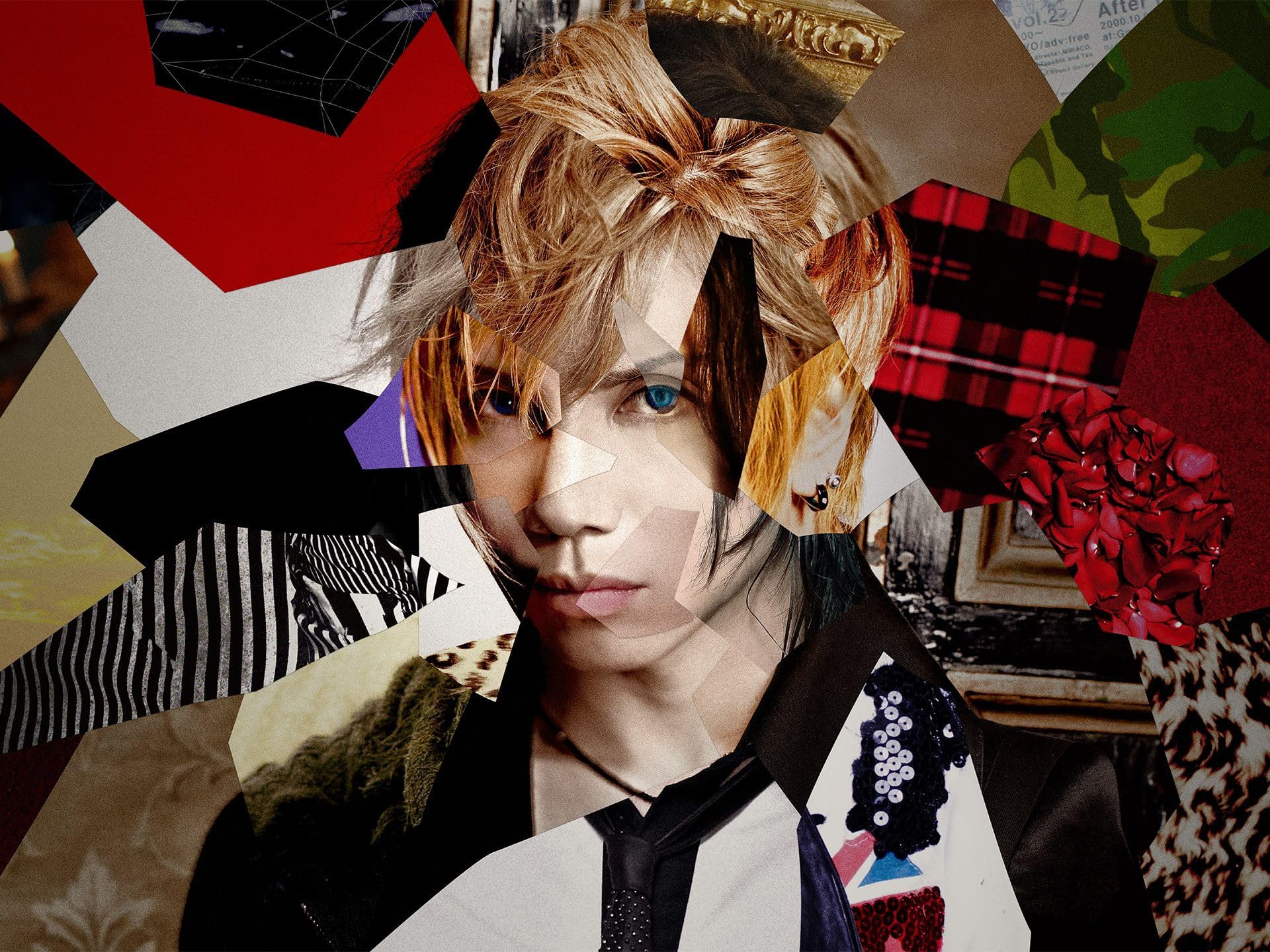Acid Black Cherry 【しいな】 Amazon.co.jp: 蝶 - Acid Black Cherry: ミュージック