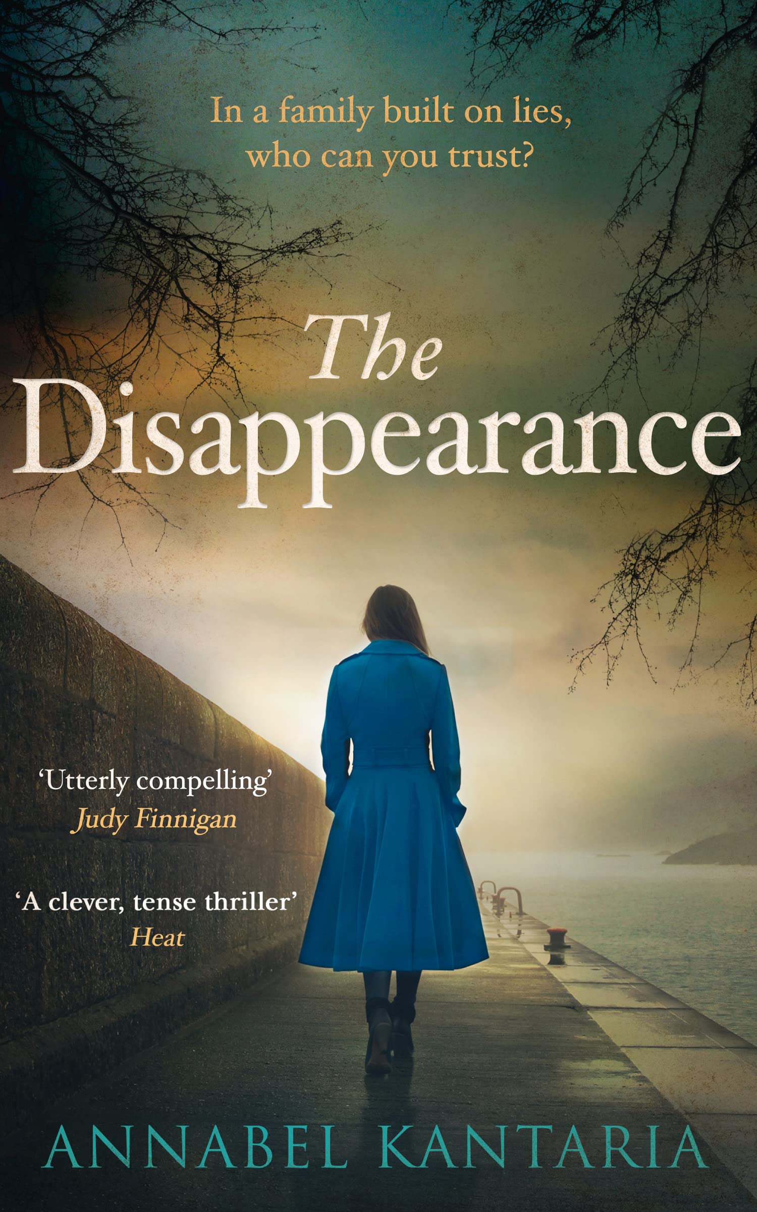 The Disappearance: A Gripping Thriller That Will Keep You Guessing