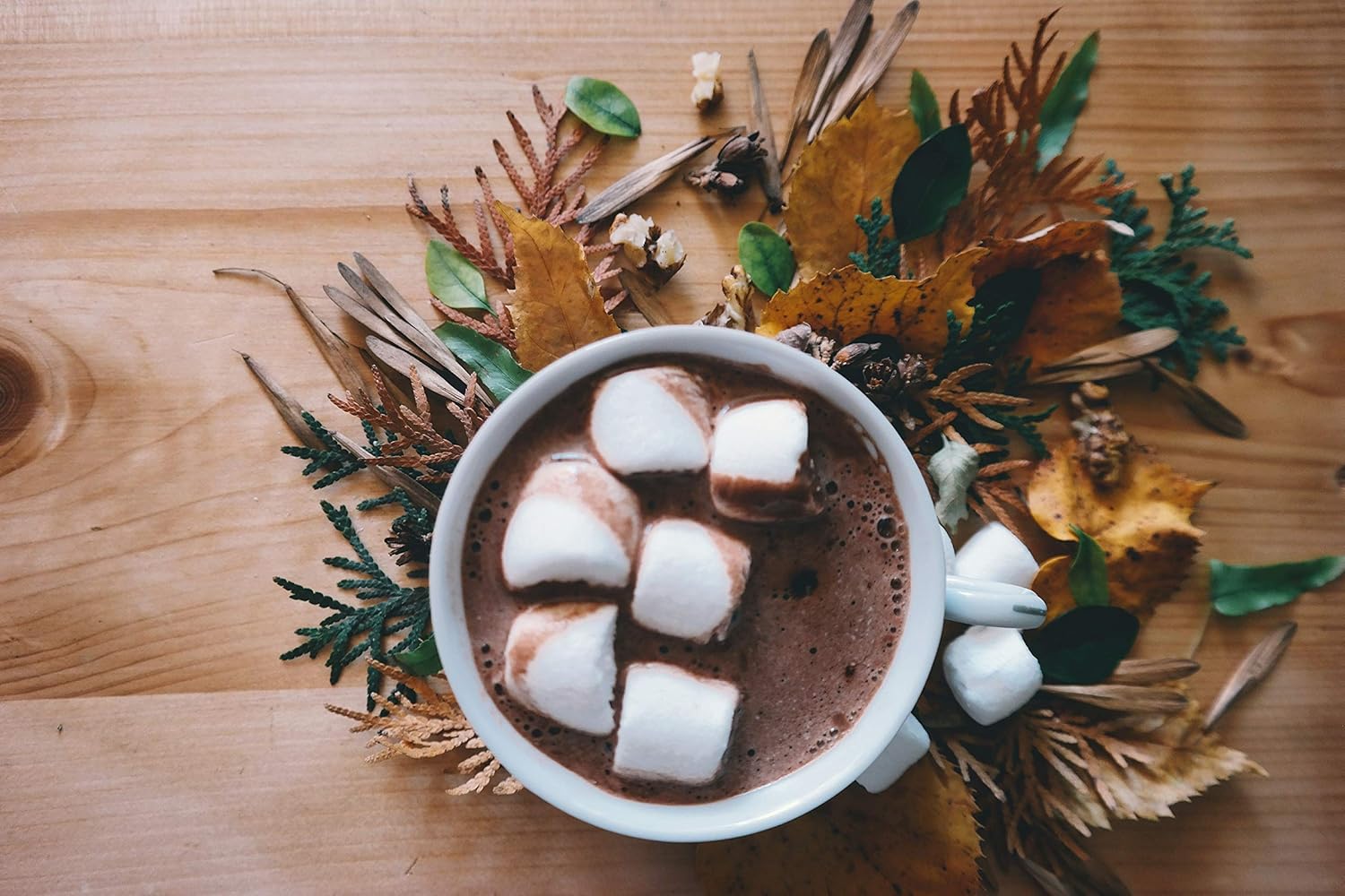 Maya Drinks Dark Hot Chocolate Cocoa Powder - Home, Cafe - View #7