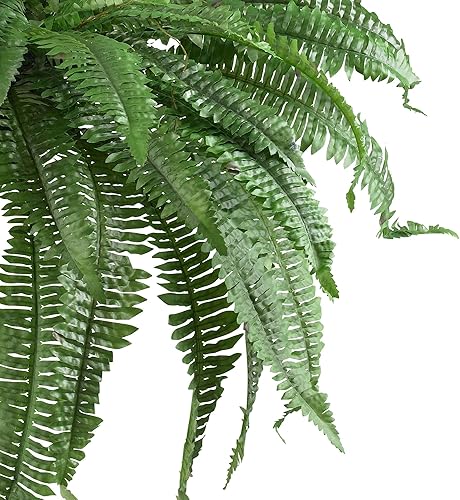 Miniatura 3 de Nearly Natural Helecho Boston artificial en maceta o colgante | Planta falsa, verde, 48 pulgadas, juego de 2 y 5357 palmera de caña dorada, verde