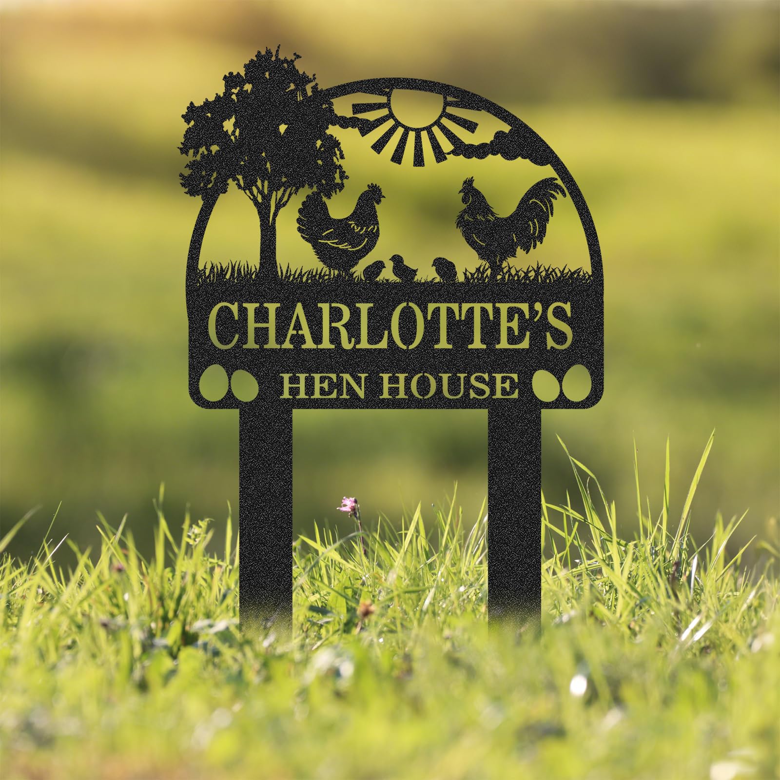 Personalized Metal Chicken Coop Sign, Custom Name Chicken Coop Signs for Outside, Decorative Garden Stakes, Metal Yard Art, Backyard Farmhouse Decor, Chicken Gifts for Women Man Color01
