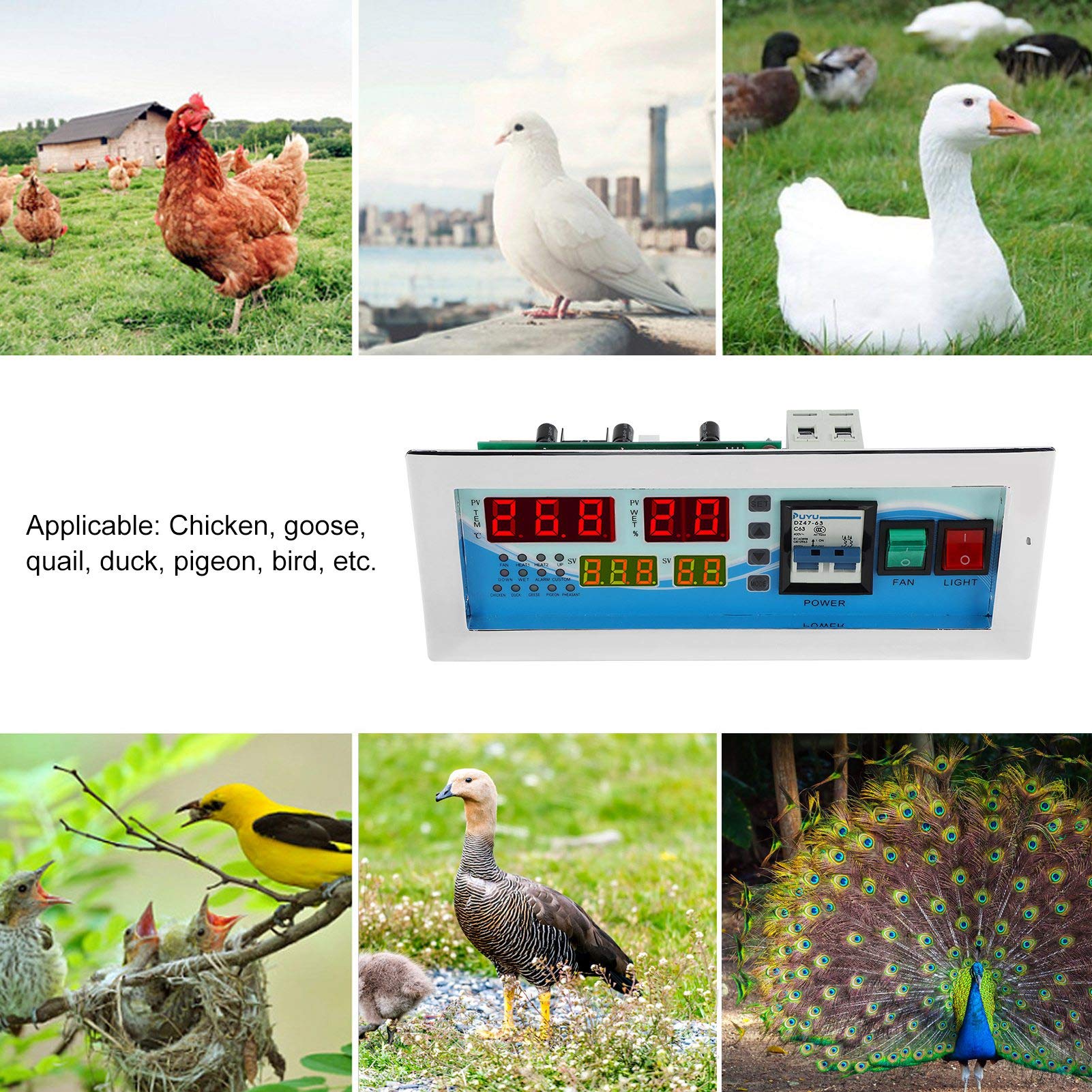 Respicefinem Automatischer Eierinkubator-Controller, digitale Temperatur- und Feuchtigkeitskontrolle für Hühner, Enten, Wachteln, 180–240 V