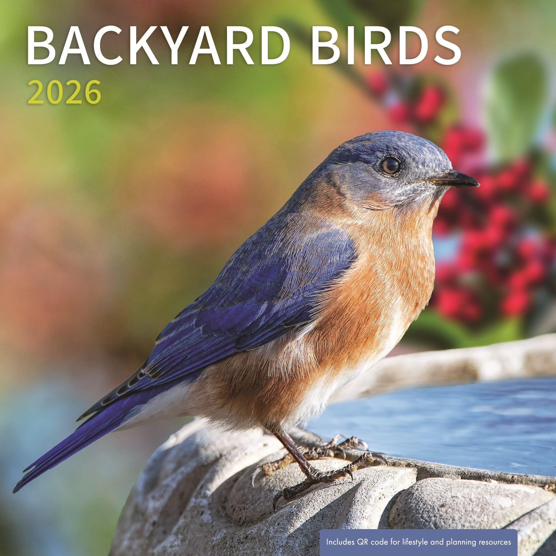 Backyard Birds 2026 Wall Calendar