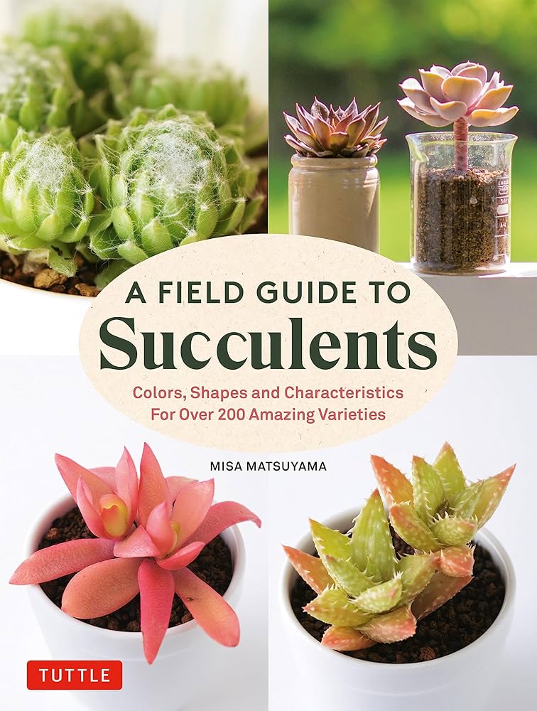 A Field Guide to Succulents: Colors, Shapes and Characteristics A Field Guide to Succulents: Colors, Shapes and Characteristics