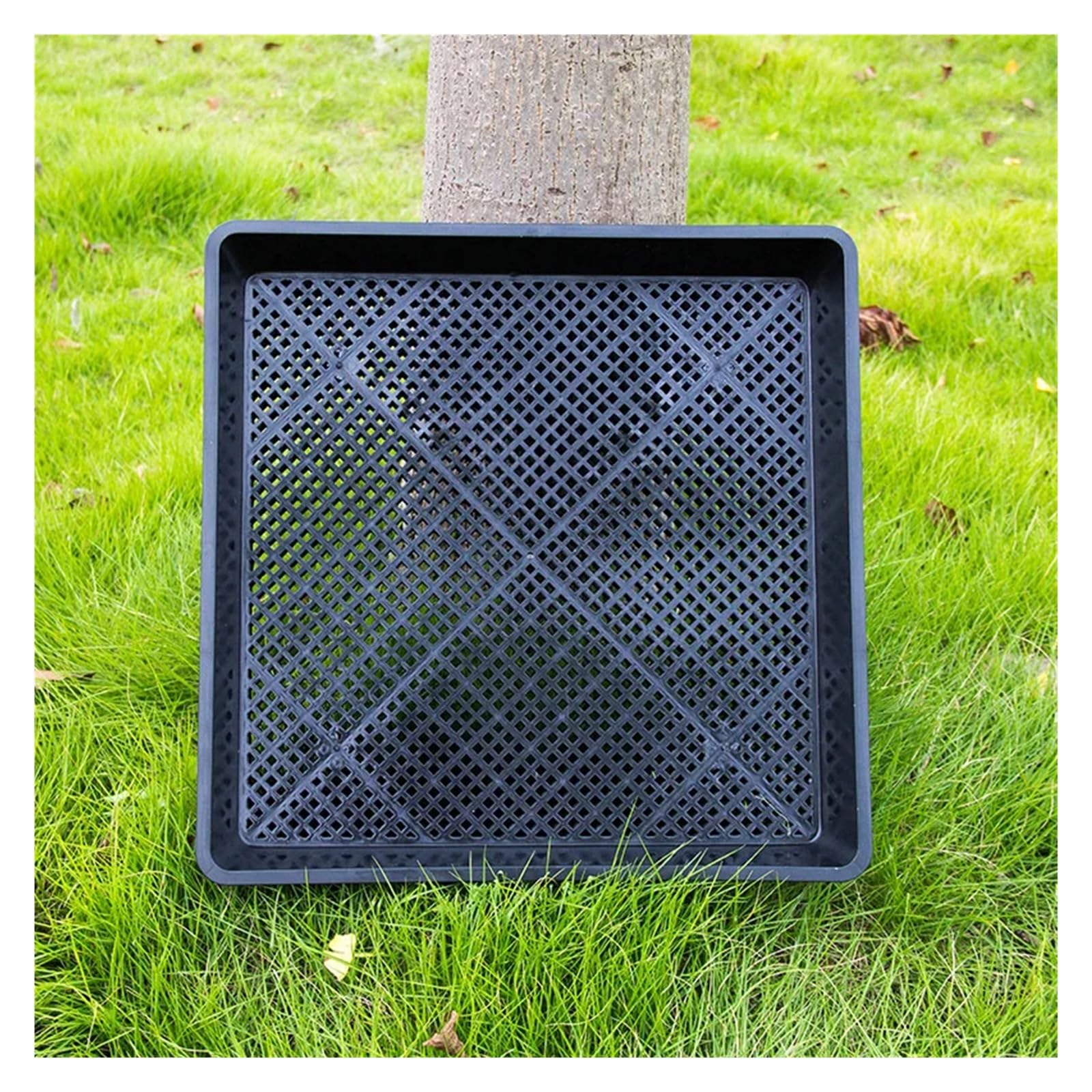 Plaque Semis Plateaux de semis carrés rectangulaires de Jardinage à Effet de Serre for Les Plateaux de pépinière de Plantes de Dendrobium Maca de Germination-Fournitures de Jardinage(1pcs)