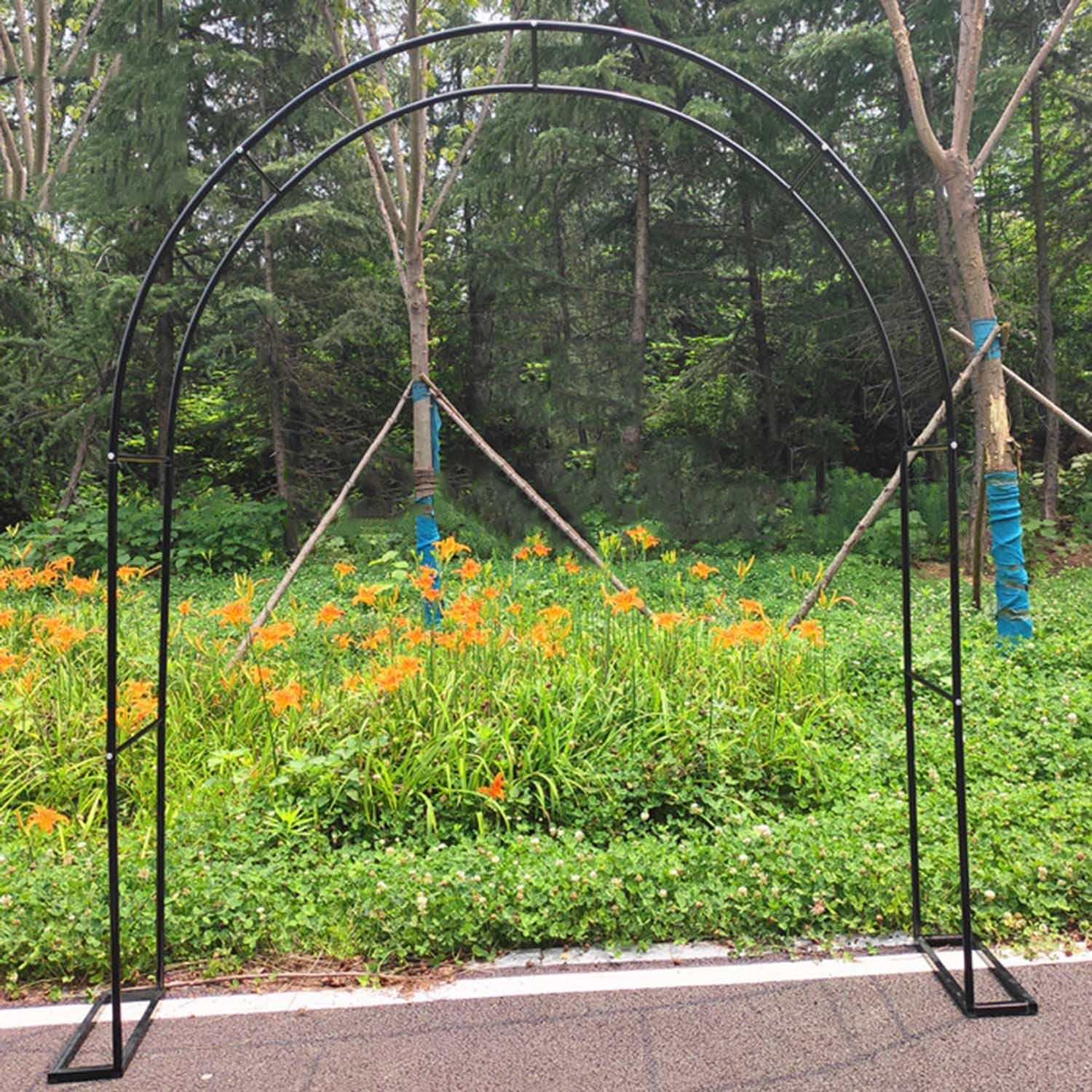 Treillis d'arche de jardin pour plantes grimpantes et fleurs de terrasse