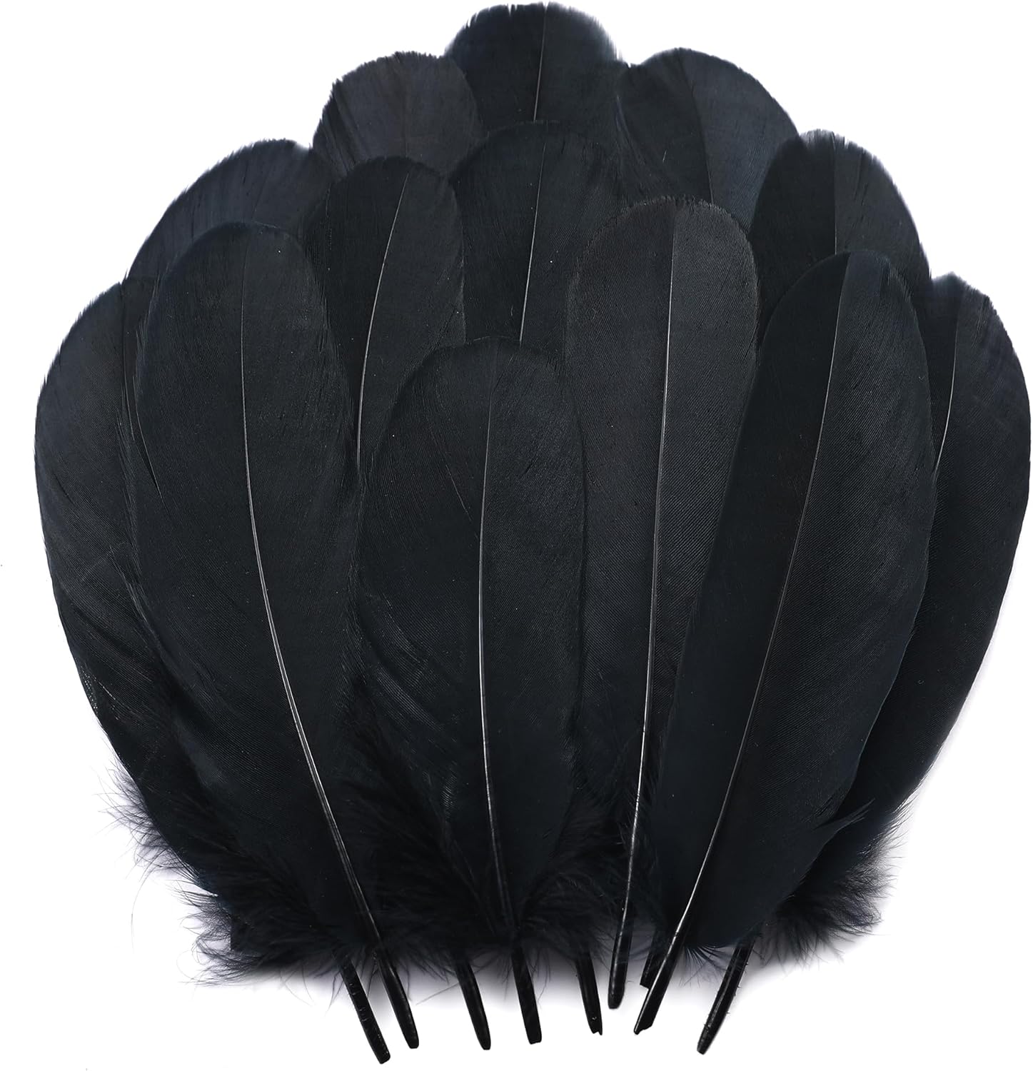 Holmgren Black Craft Goose Feathers - 200pcs 5-7inch Goose Feathers for DIY Crafts, Halloween Costume, Cosplay Wings and Halloween Party Home Decorations (Black)